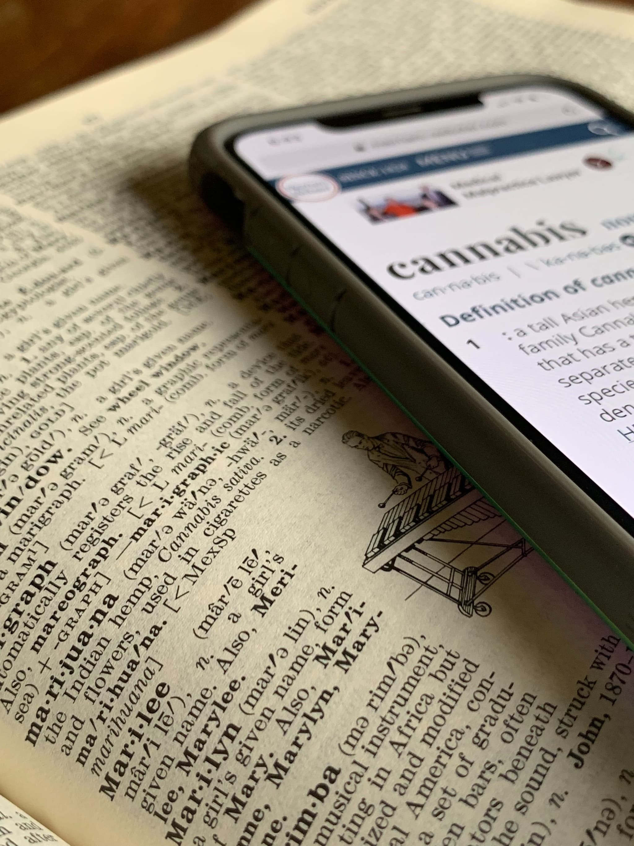 Smartphone zeigt 'cannabis' auf geöffneter Wörterbuchseite