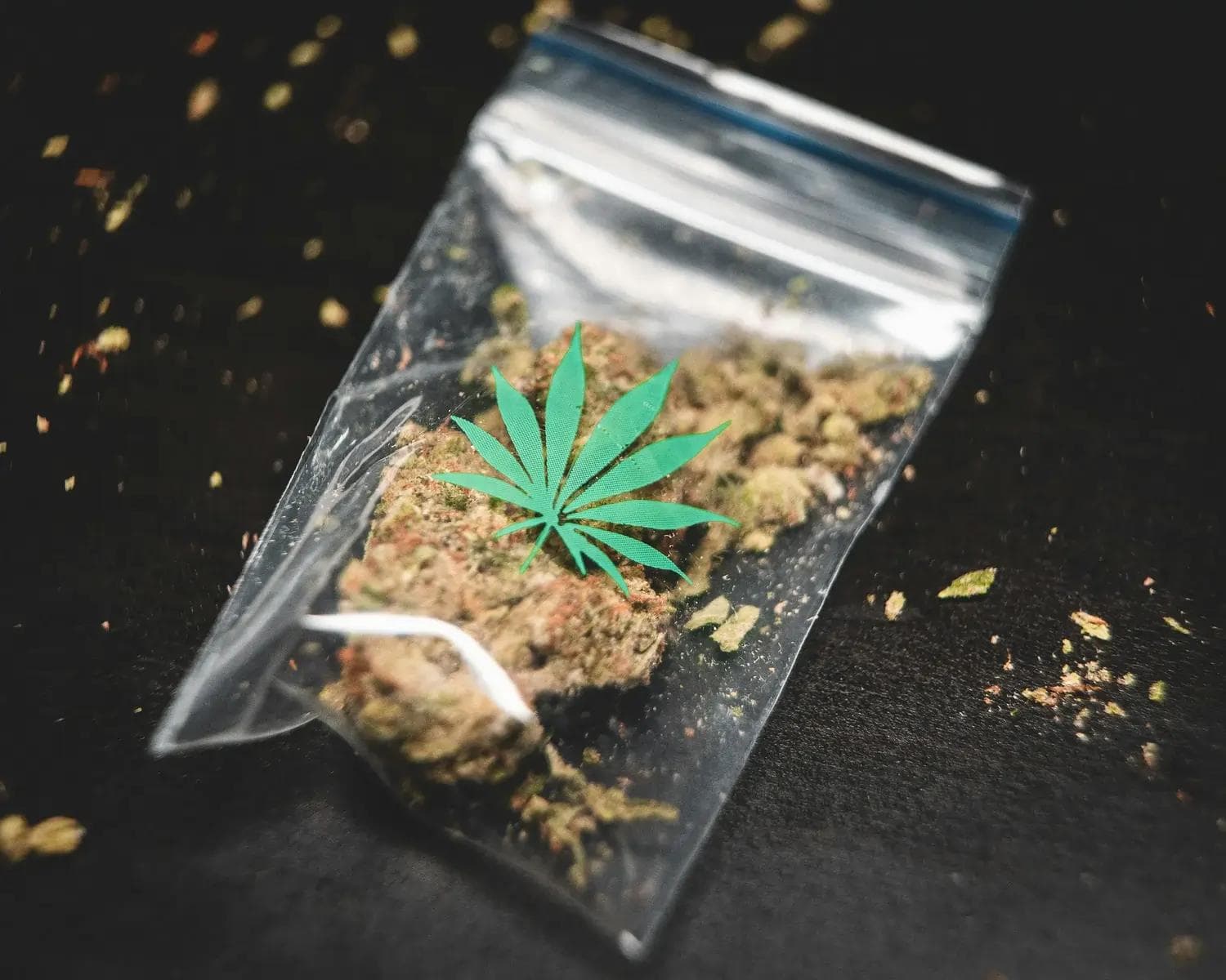 Durchsichtiger Zip-Beutel mit Cannabisblüten und grünem Blattaufkleber