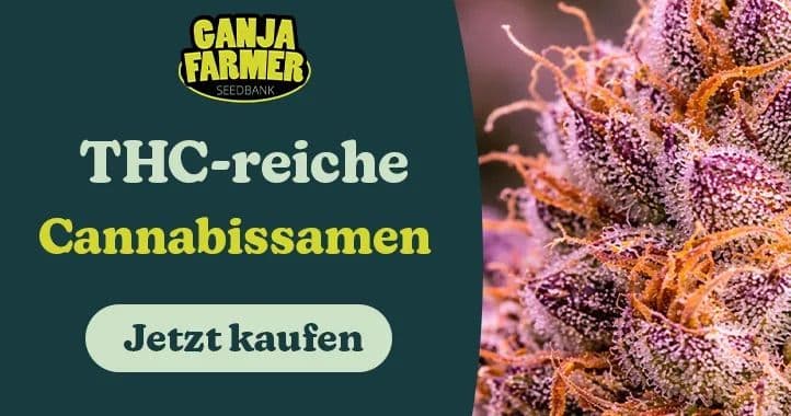 ganja farmer thc reiches cannabis