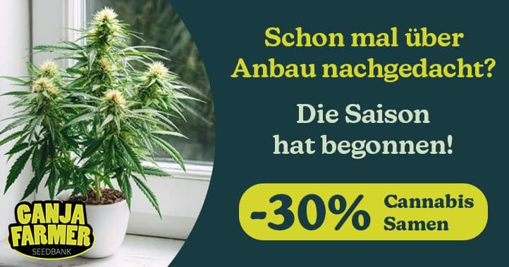 ganja farmer thc reiches cannabis
