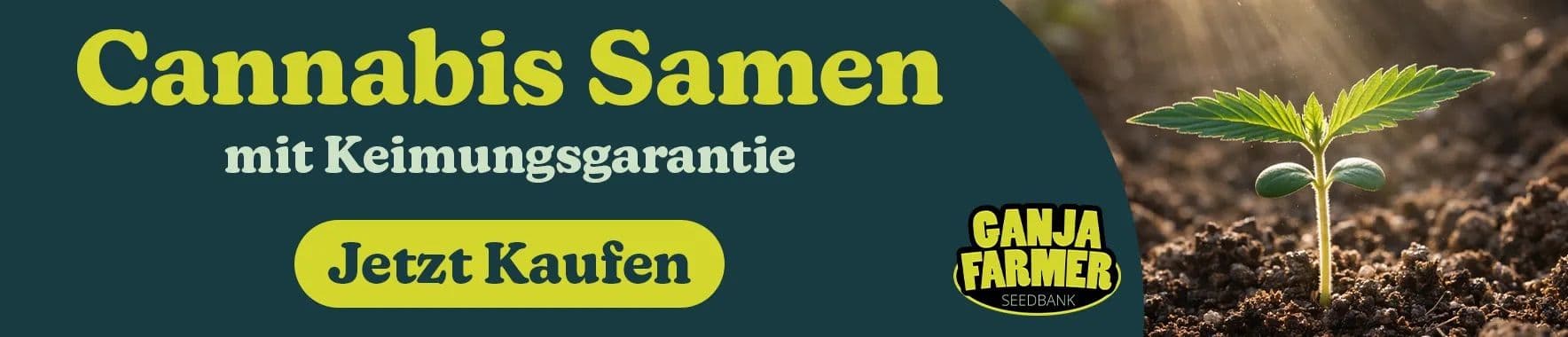 Ganja Farmer cannabis samen