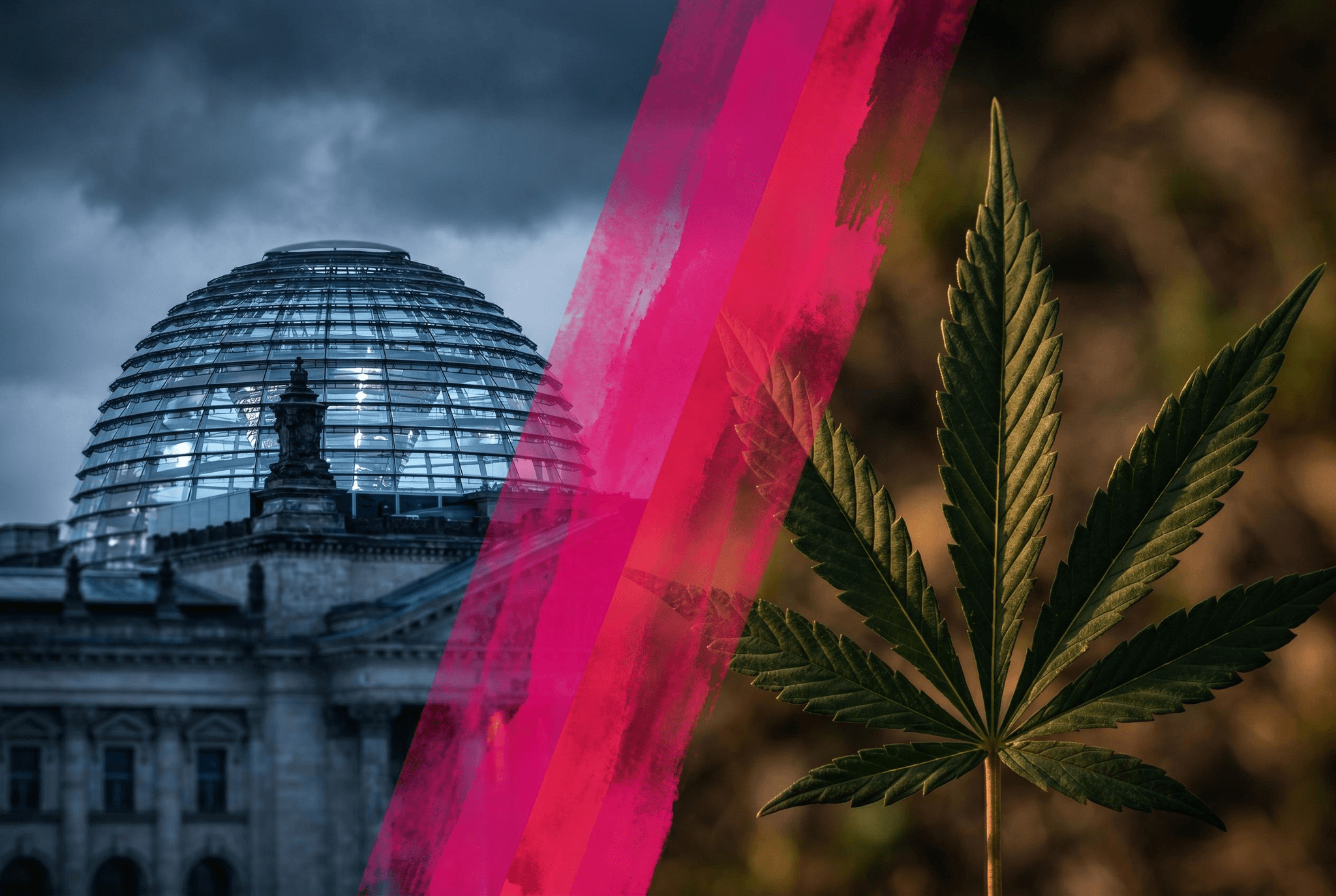 Reichstag mit magentafarbenem Streifen der Frauenunion CDU und Cannabis-Blatt – symbolisiert den politischen Streit um die Rücknahme des Cannabisgesetzes.