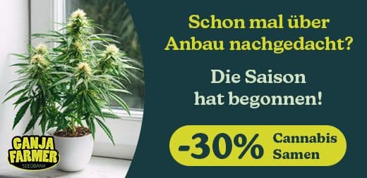 Ganja Farmer cannabis samen