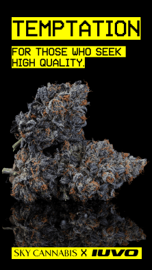 skycannabis apotheke x iuvo cannabis