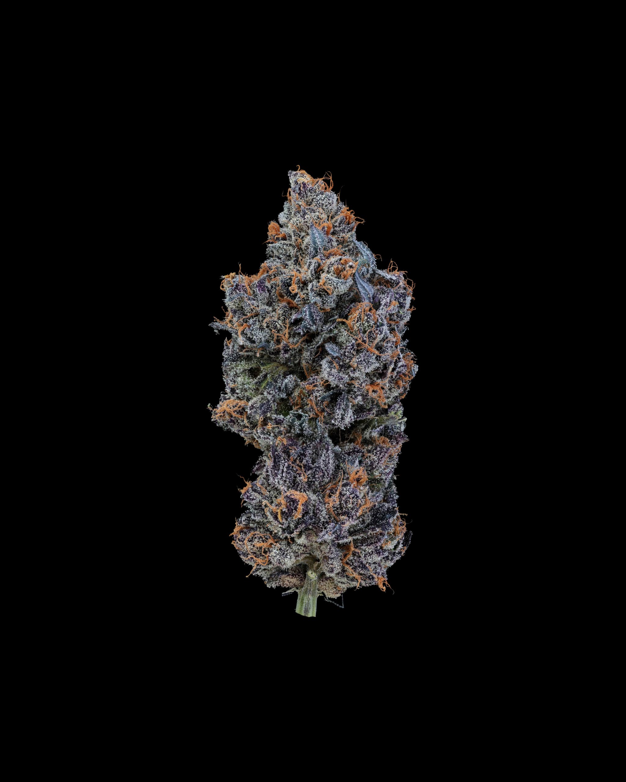 Med. Cannabis