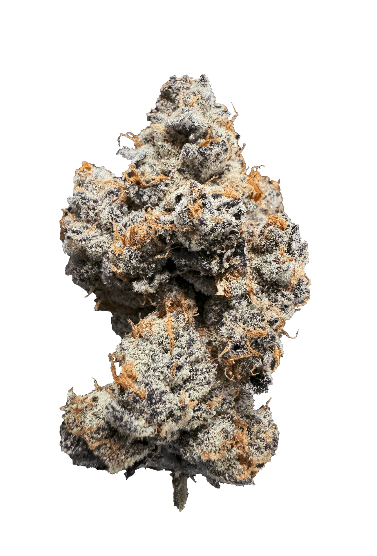 Med. Cannabis