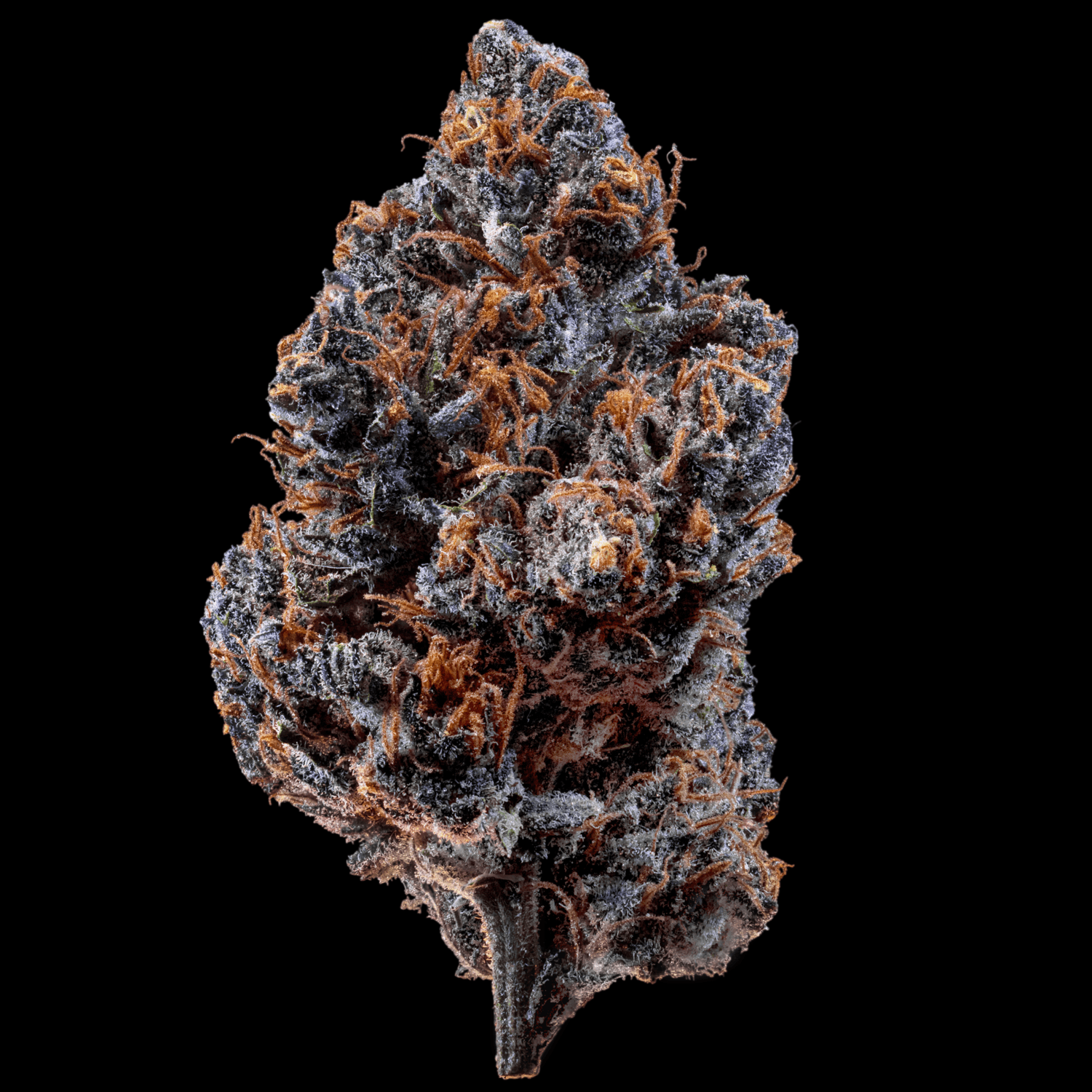Med. Cannabis
