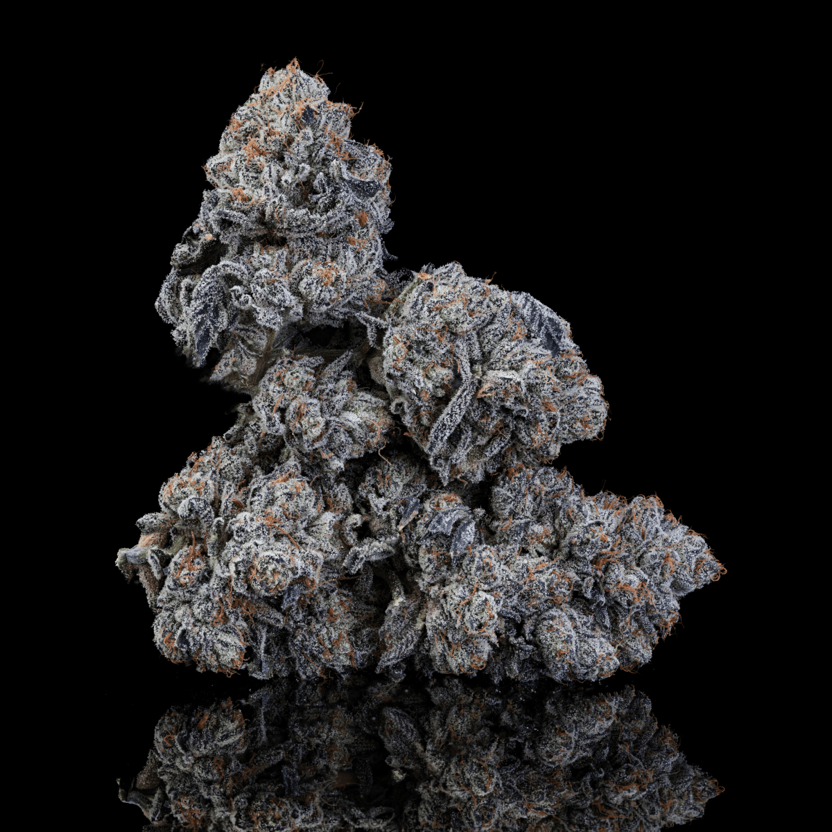 24/1 IUVO OC Neutronium