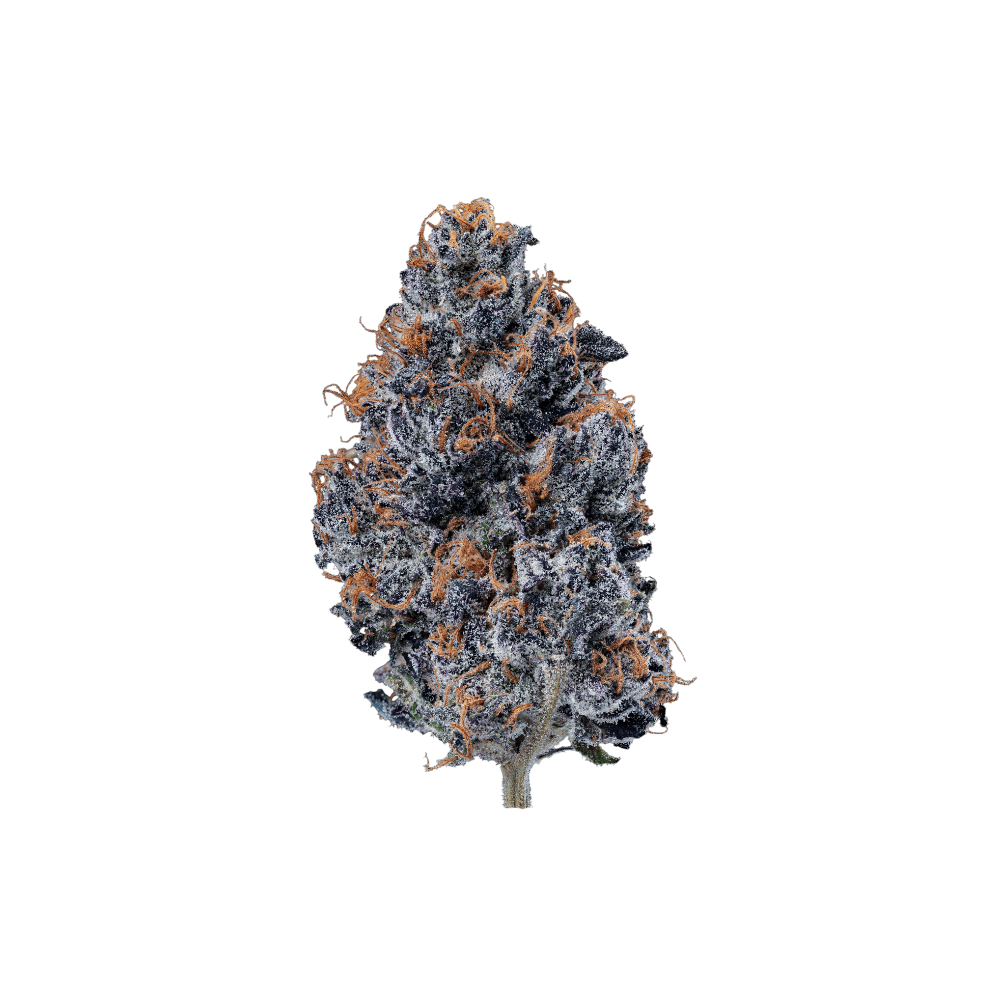 Med. Cannabis