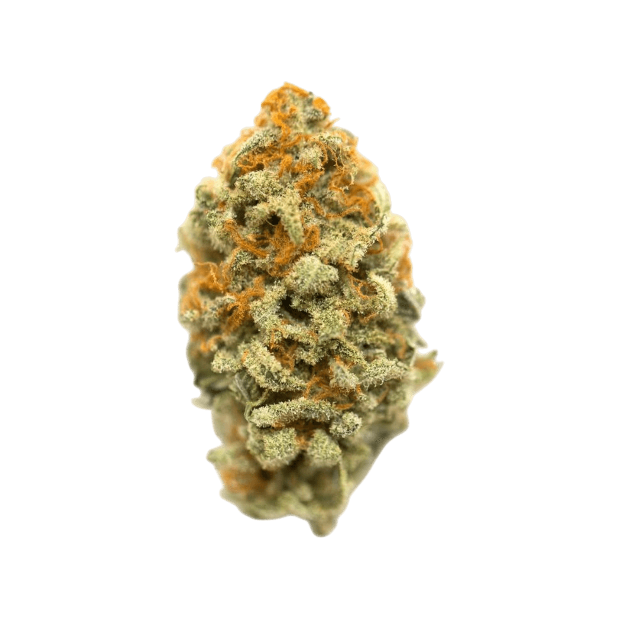 Med. Cannabis