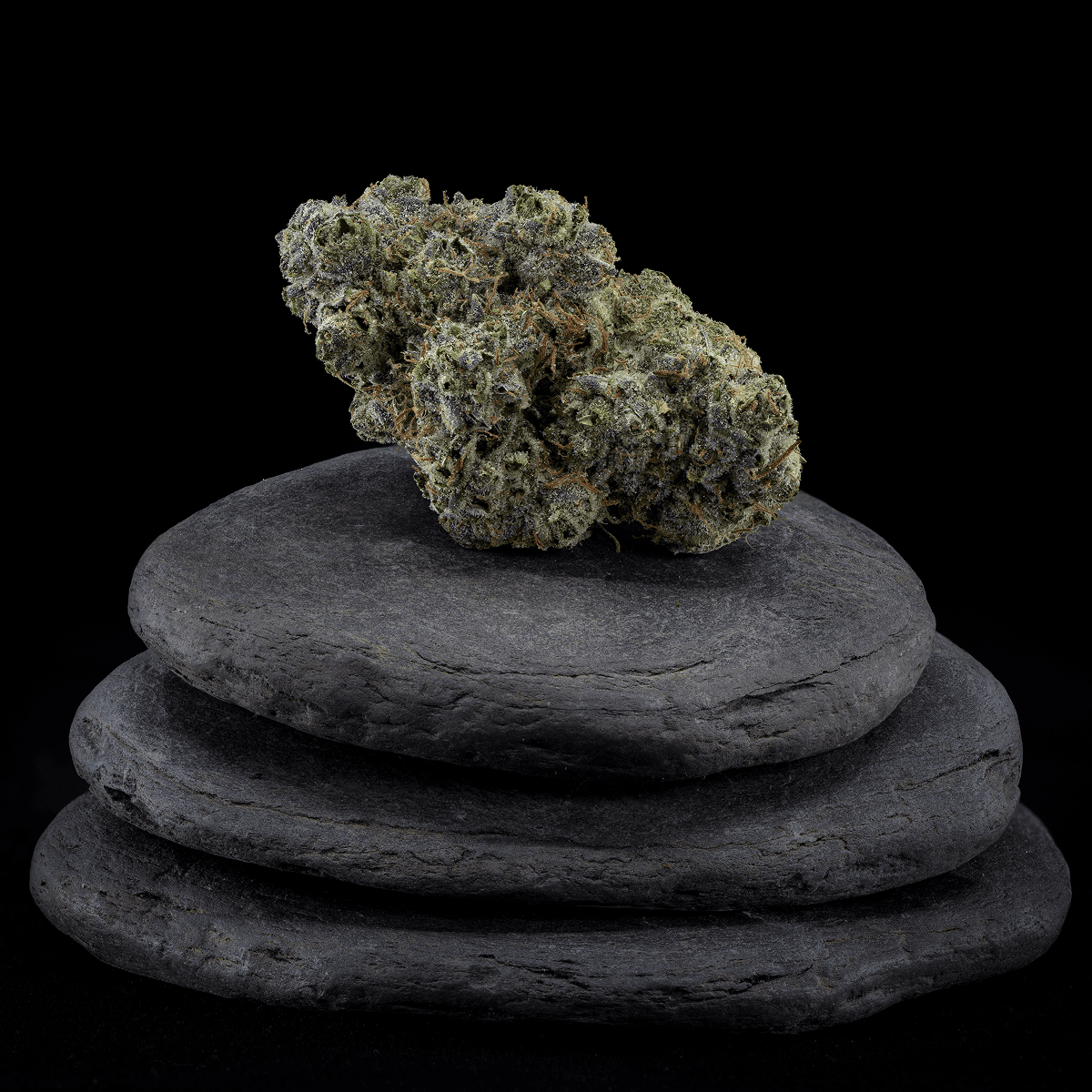 28/1 IUVO KC OJ Zainbow