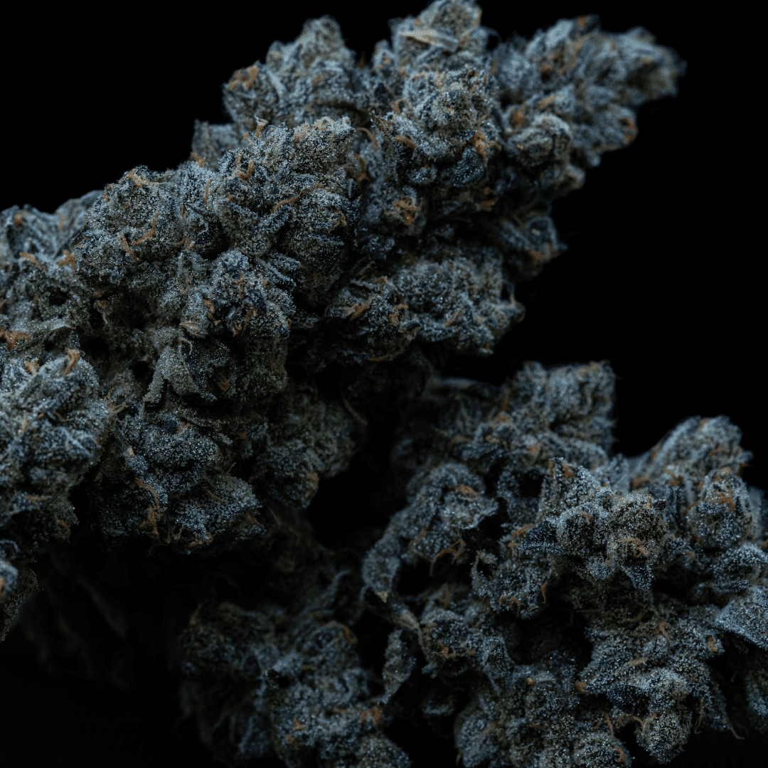 29/1 IUVO SQ Apples & Bananas