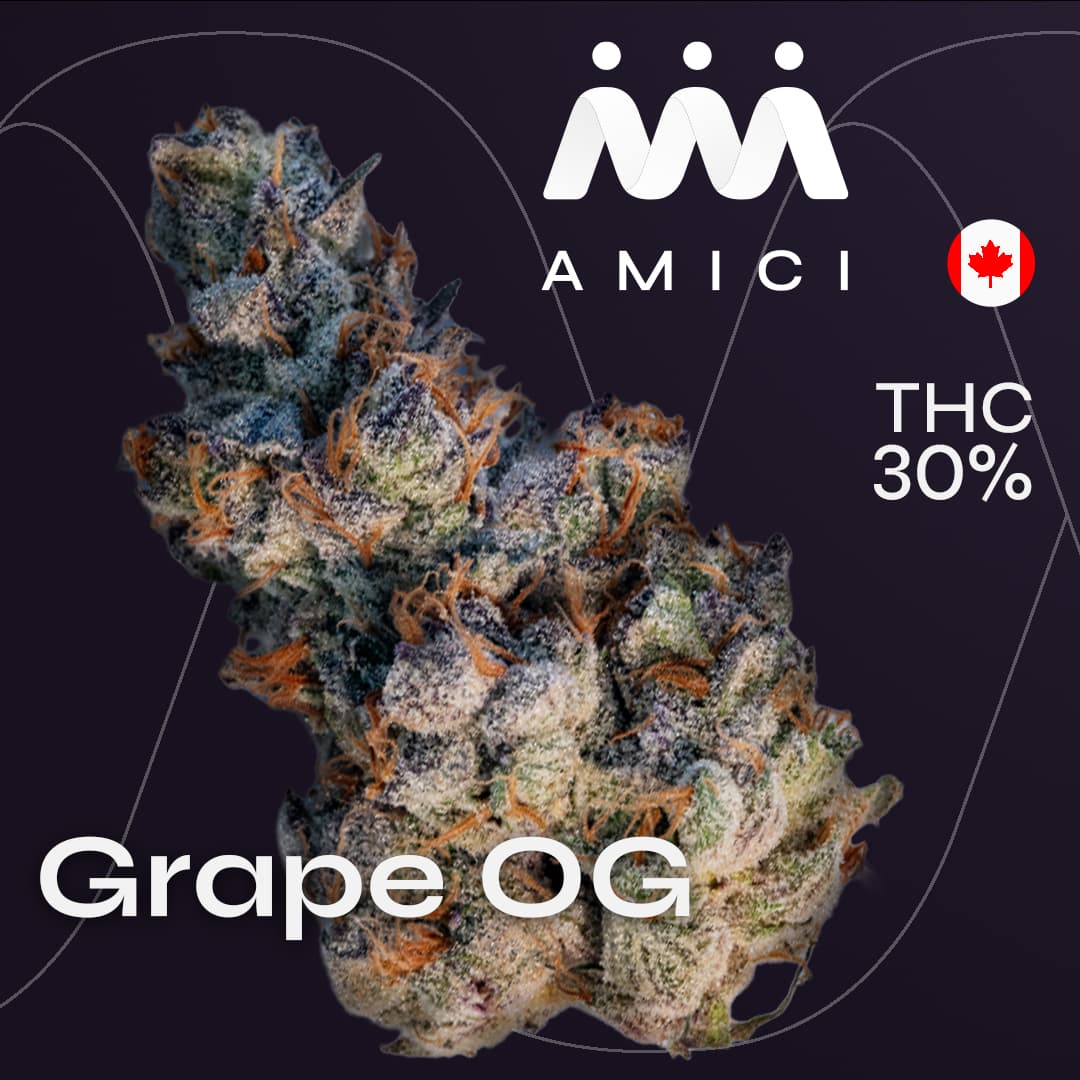 30/1 Amici GROG