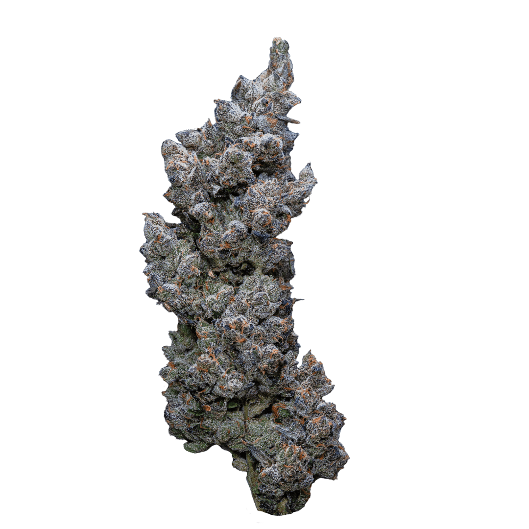 30/1 IUVO SQ Apples & Bananas