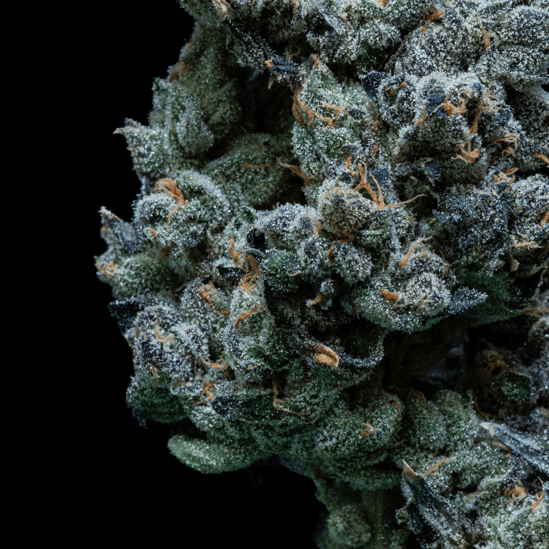 30/1 IUVO SQ Apples & Bananas