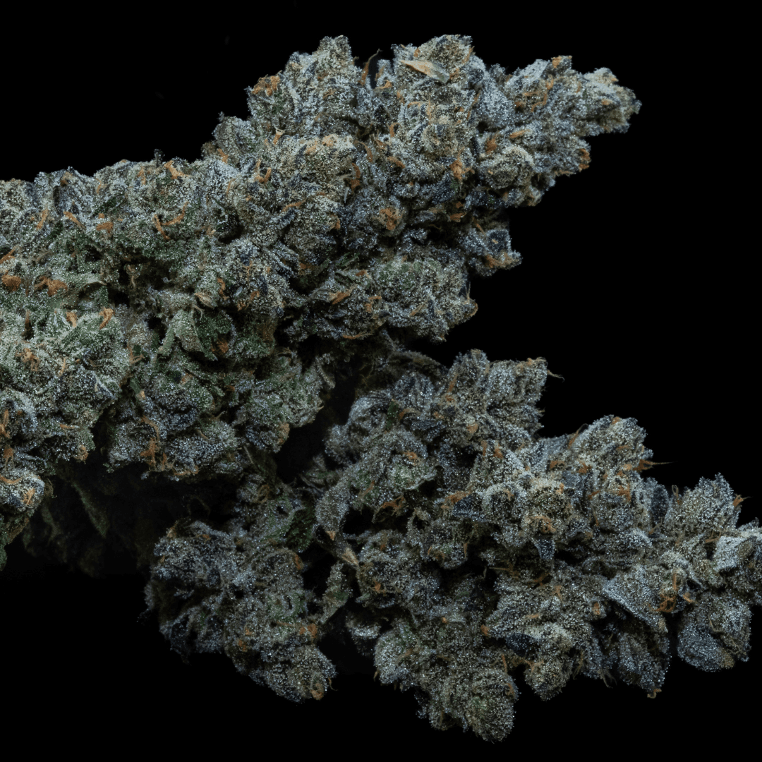 30/1 IUVO SQ Apples & Bananas