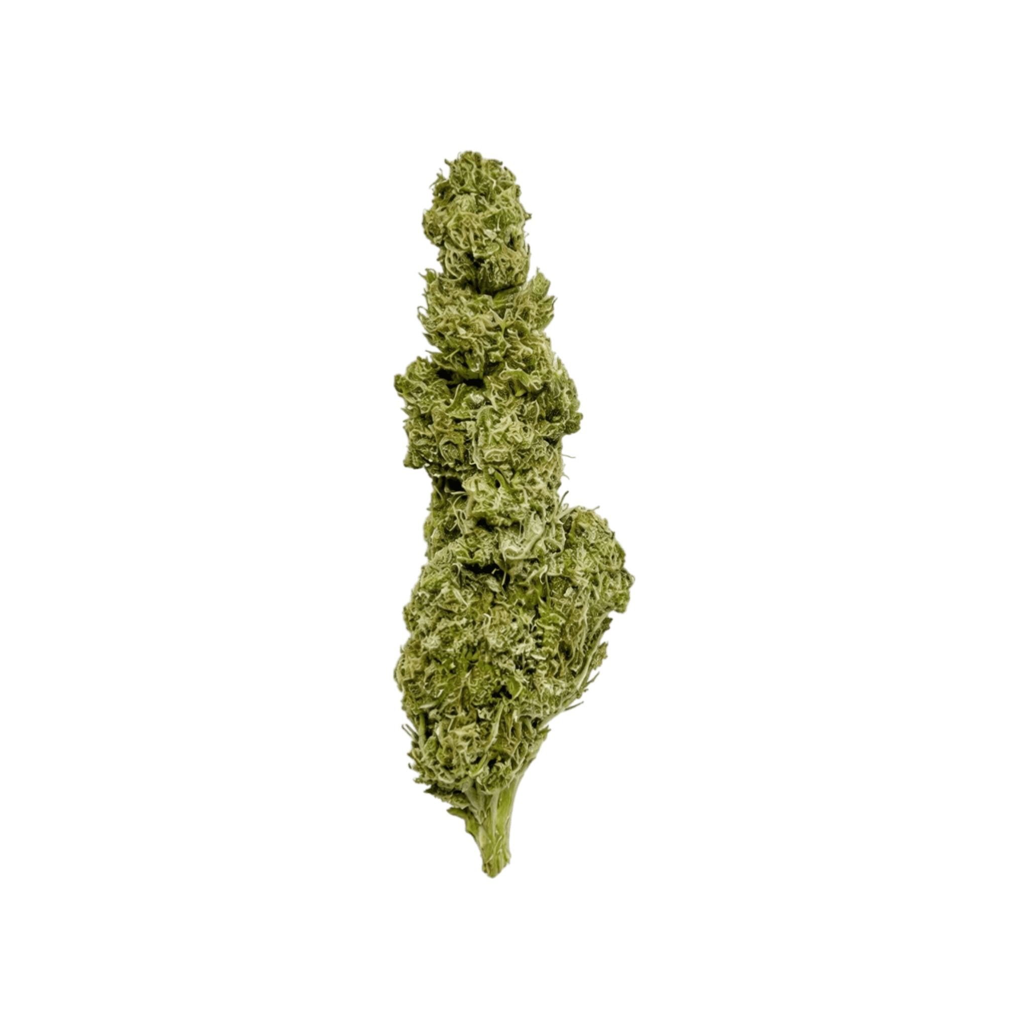 Med. Cannabis