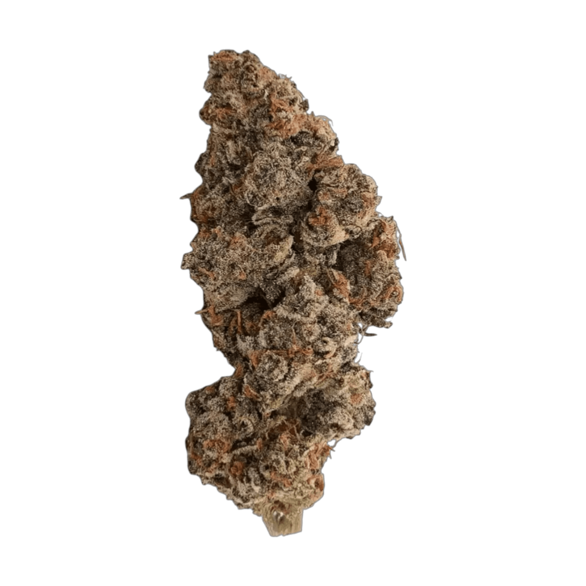 Med. Cannabis