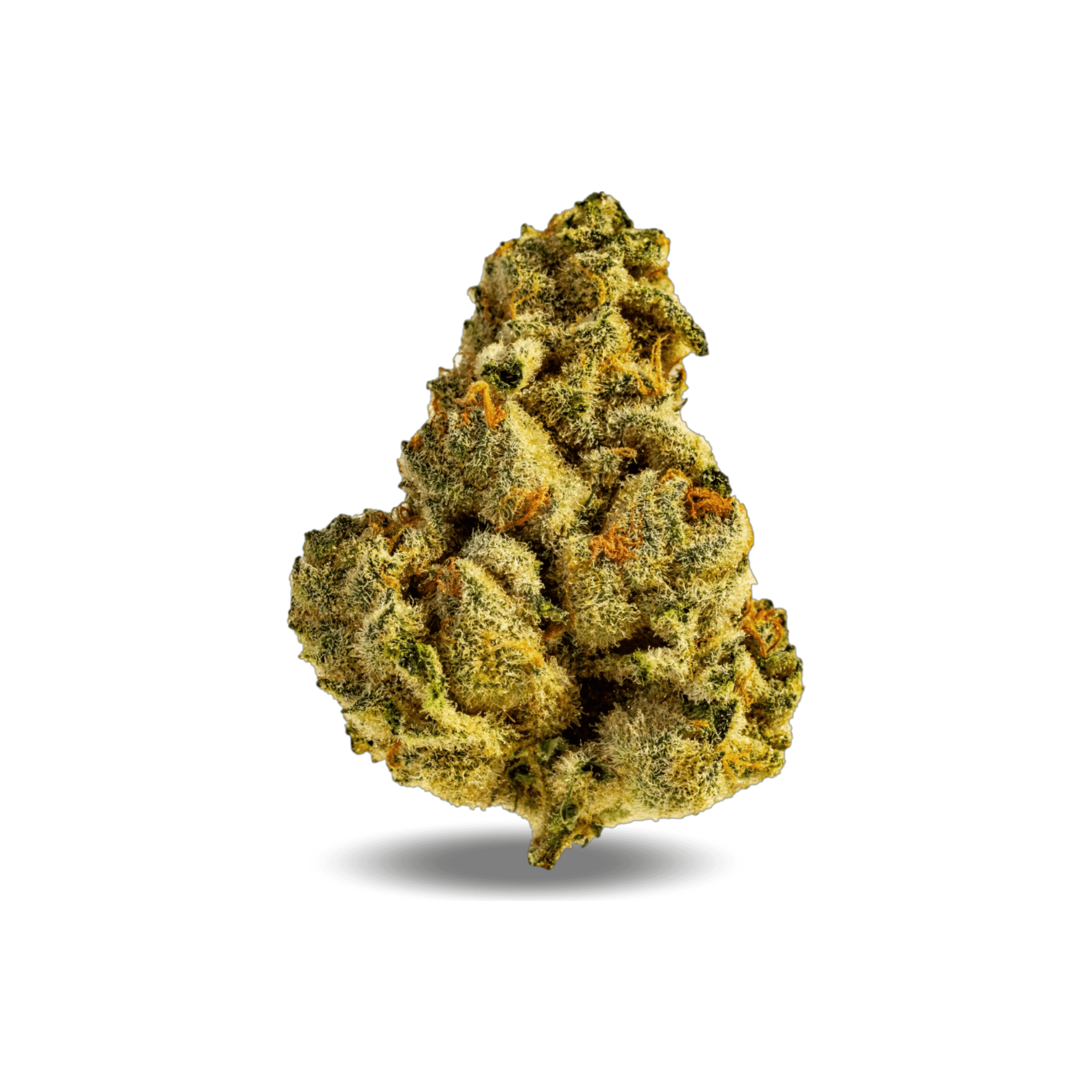 Med. Cannabis