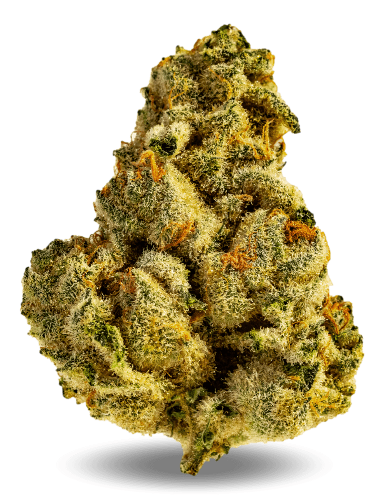Med. Cannabis