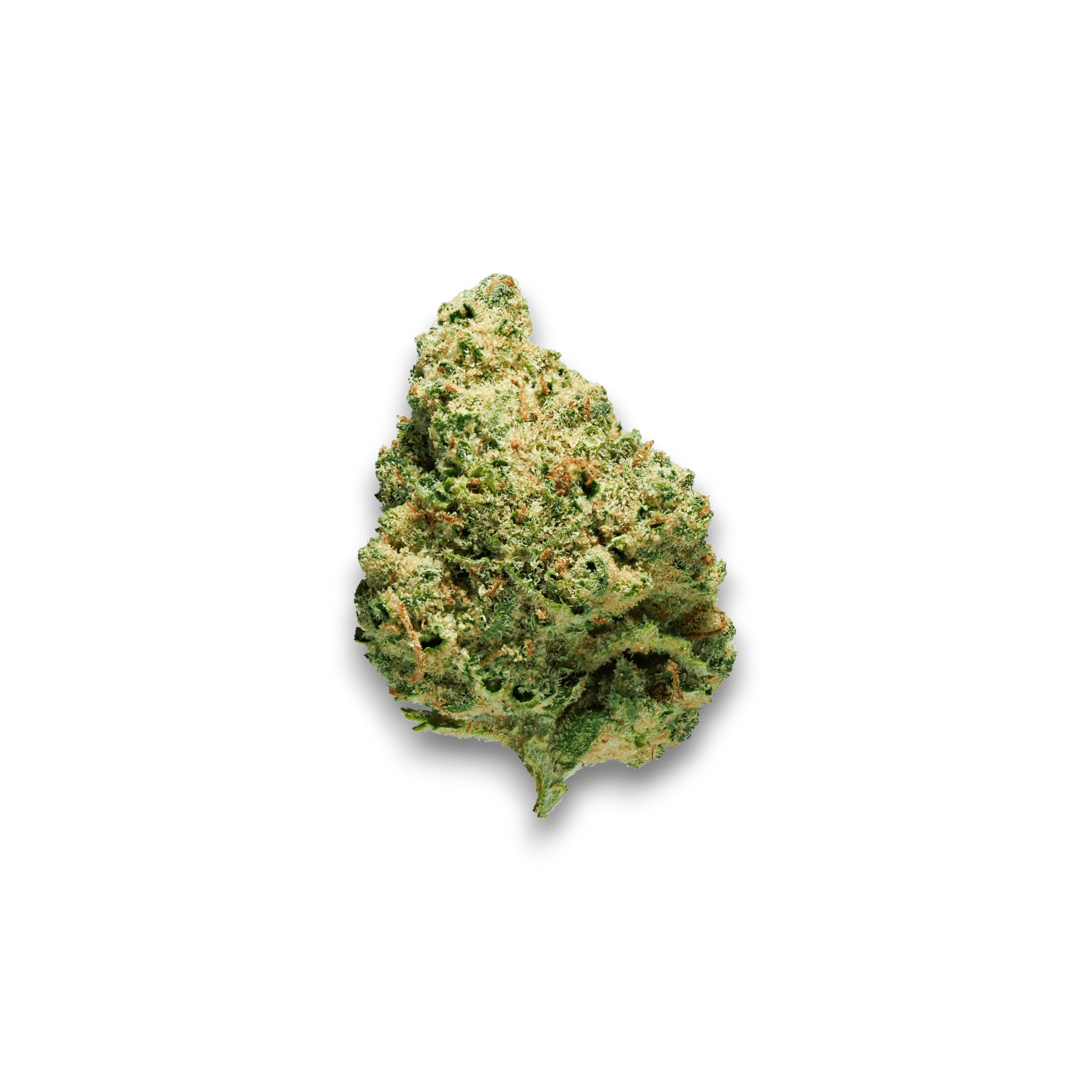 avaay 24/1 Simple CRE