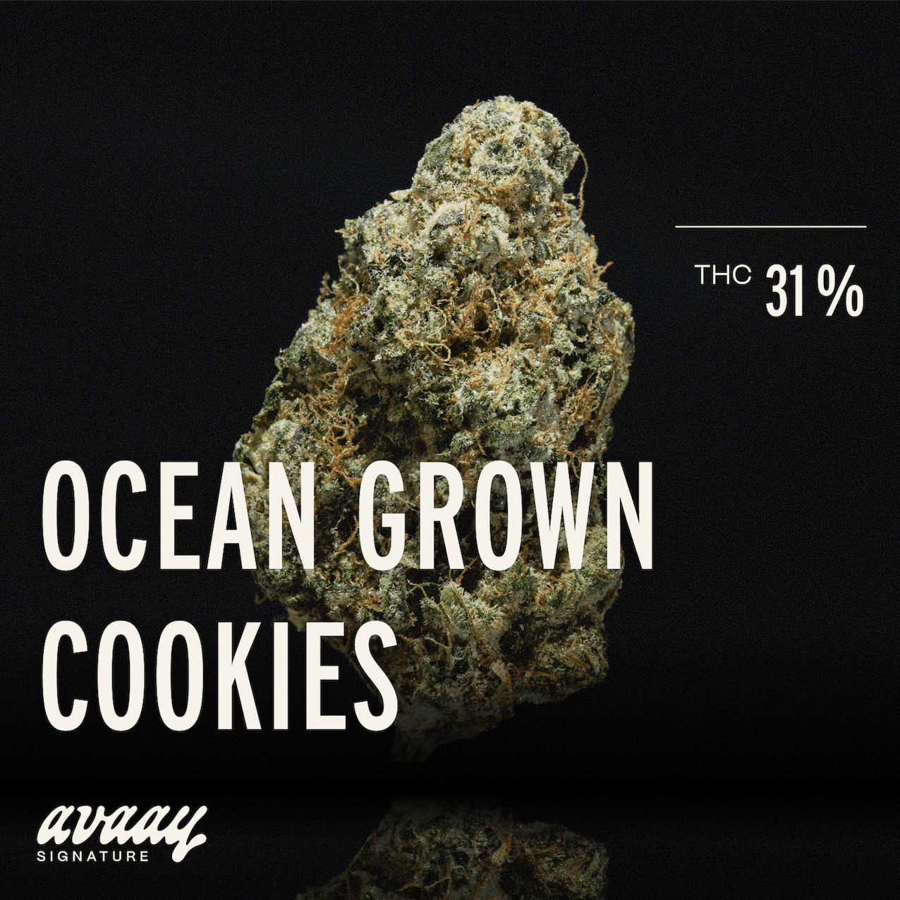 Med. Cannabis