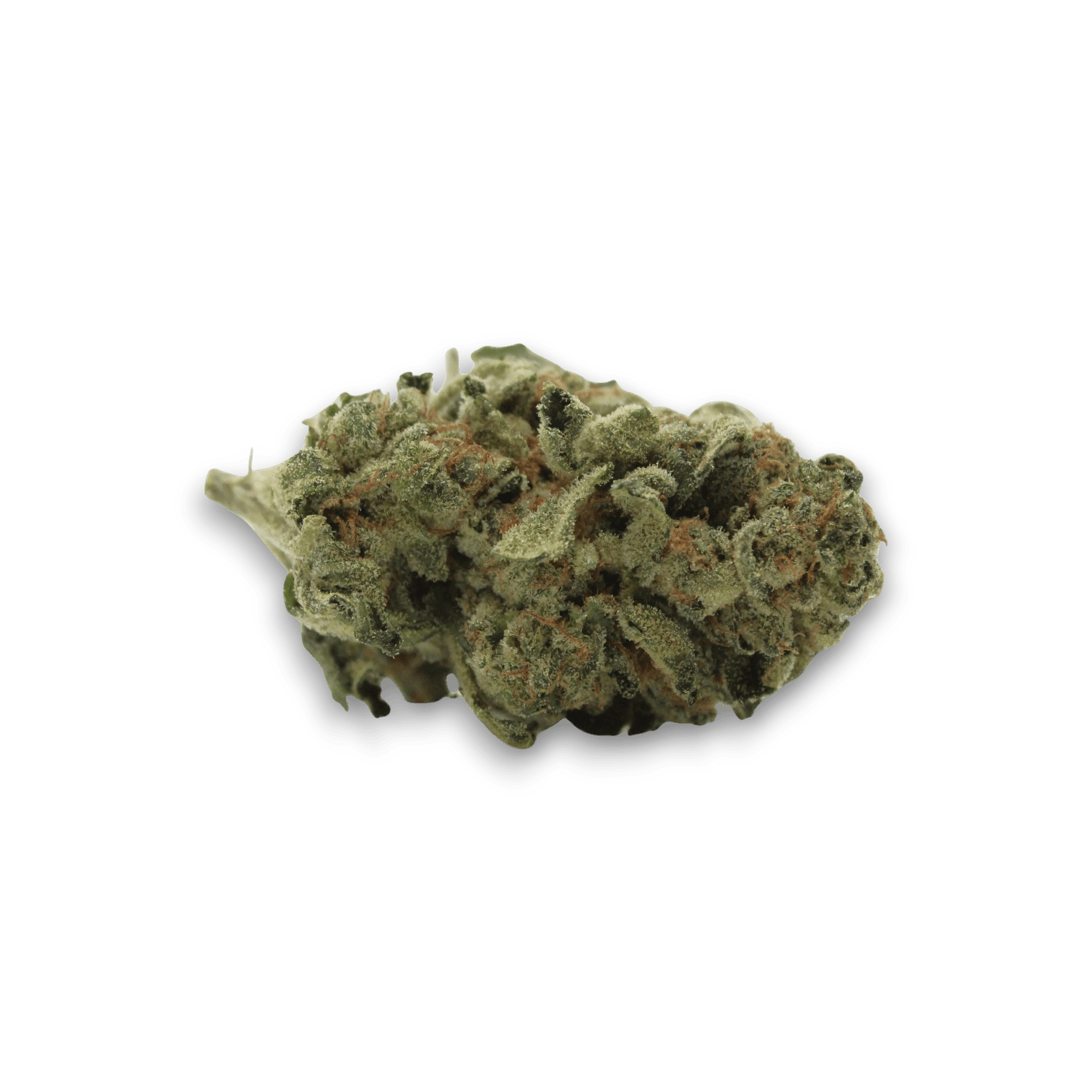 Balancial 22/1 PT Runtz