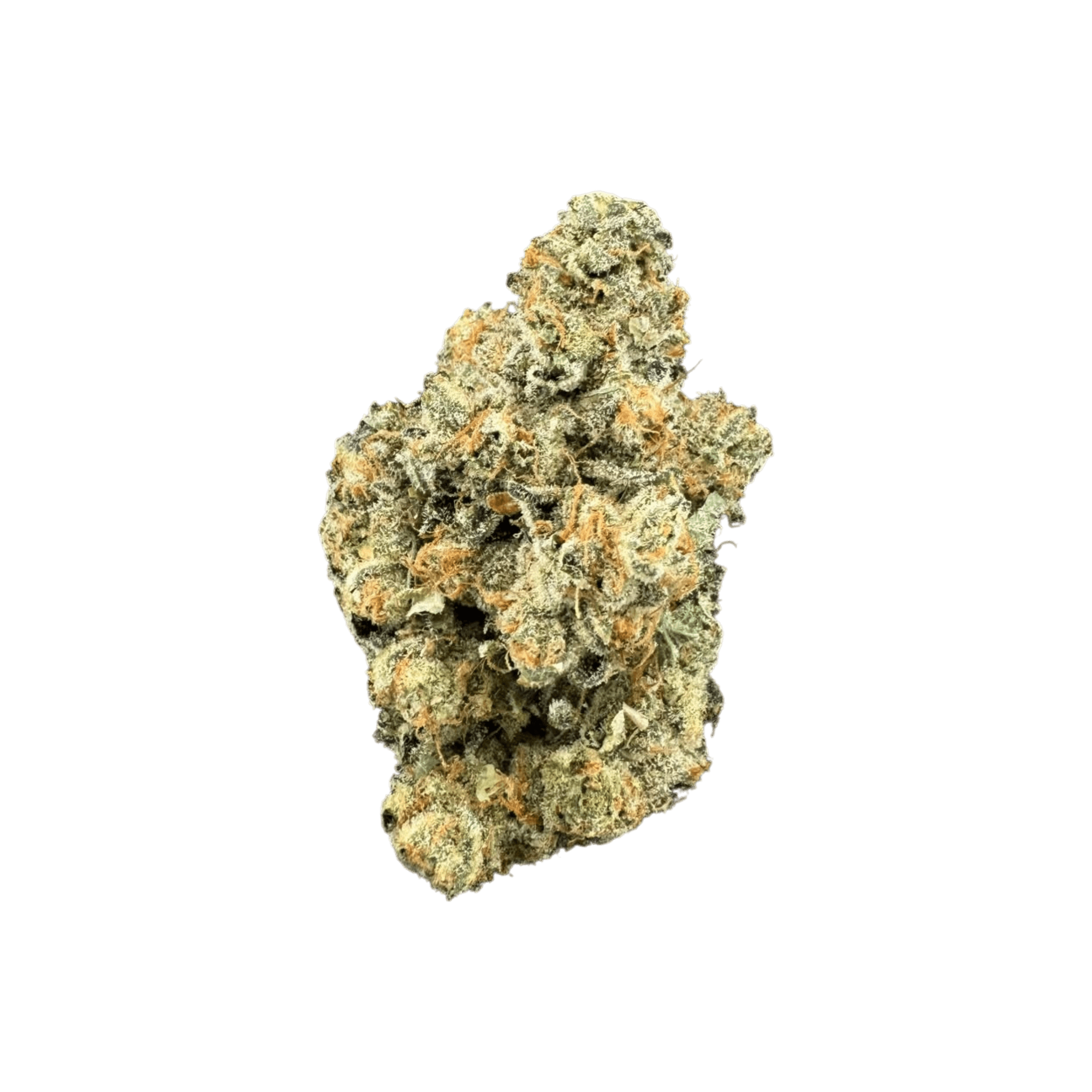 Bathera 28/1 BZ