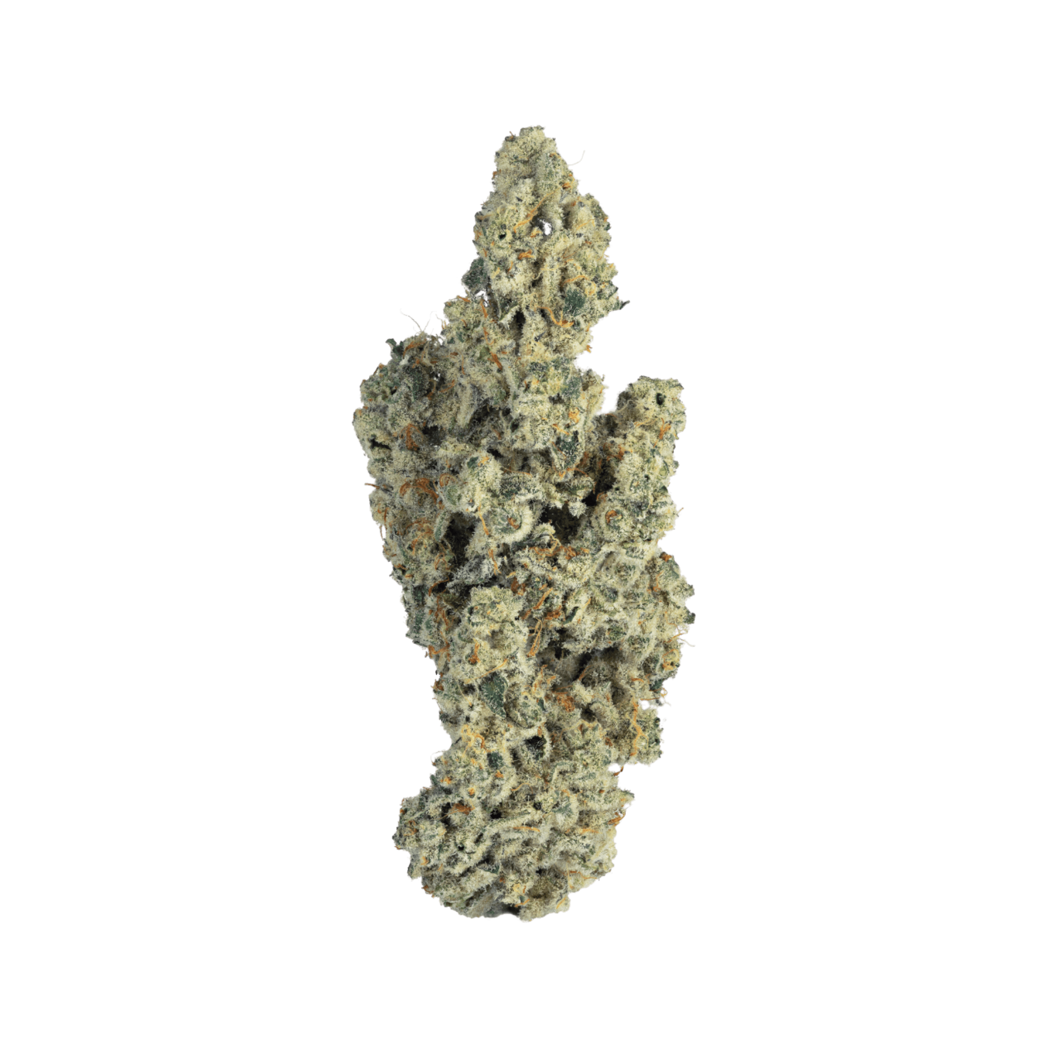 Med. Cannabis