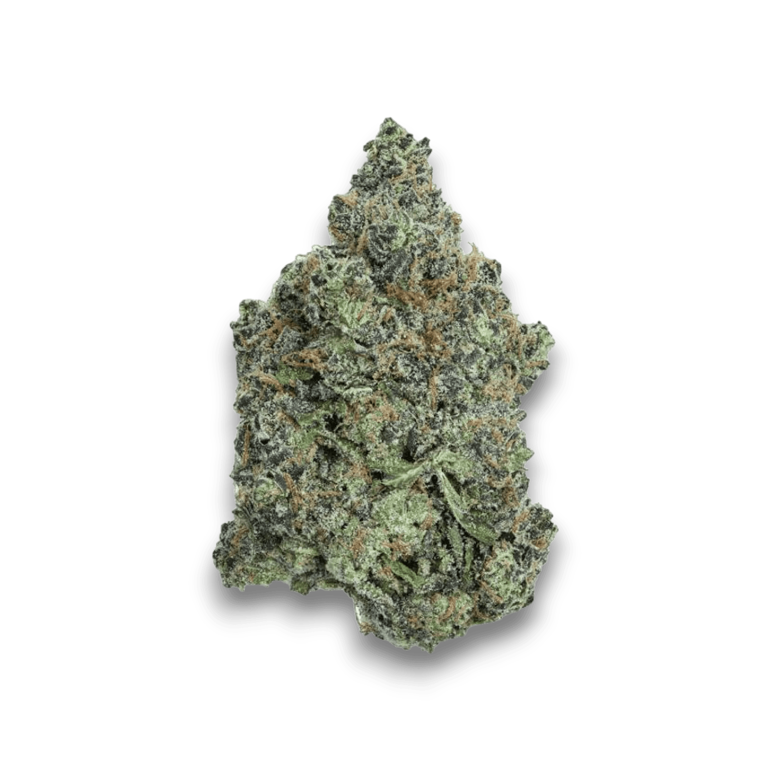 Buuo Beat 26/1 Chem de la Chem