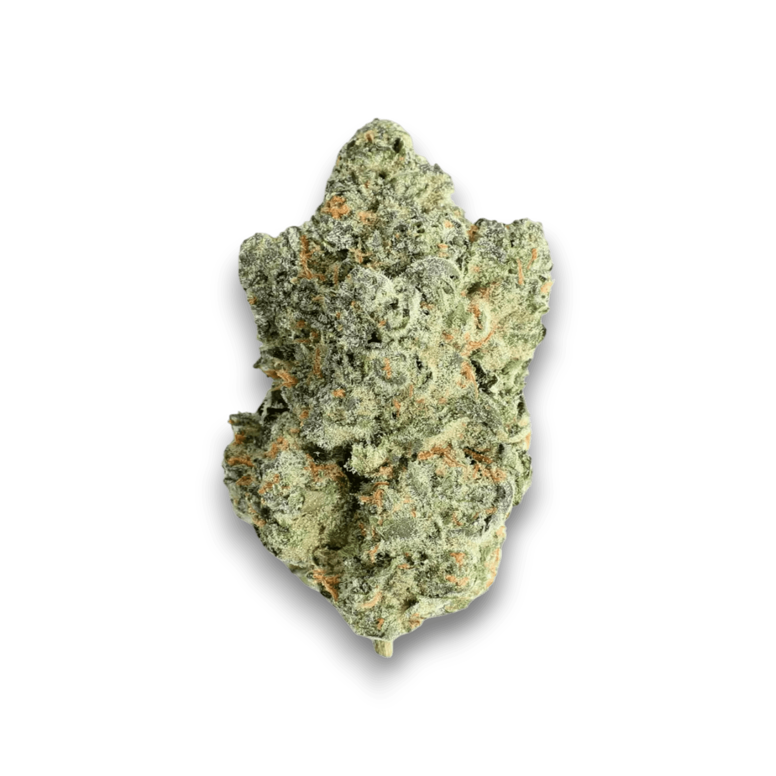 Canify Cannabis flos 25/1 POR Ku. MP