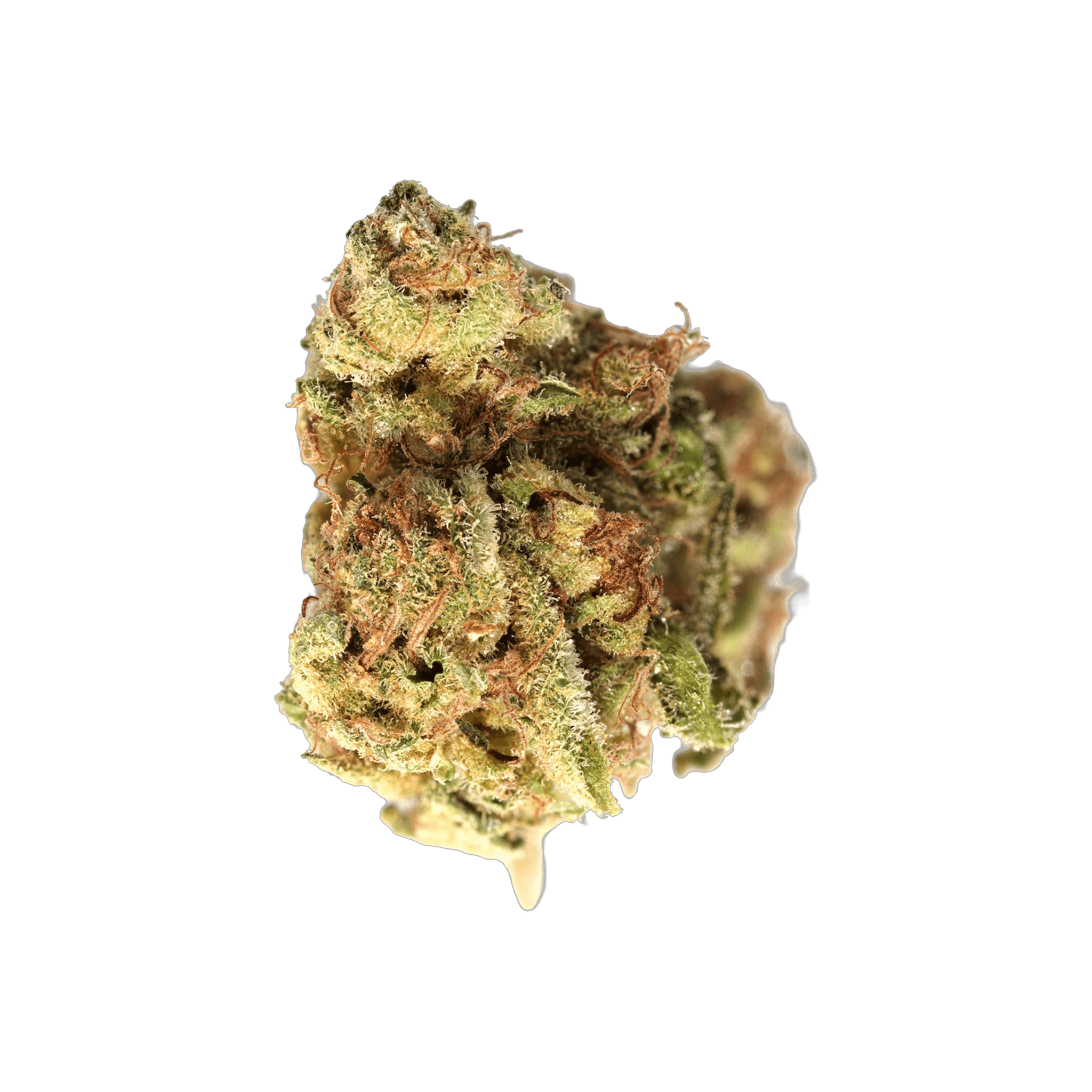 Med. Cannabis