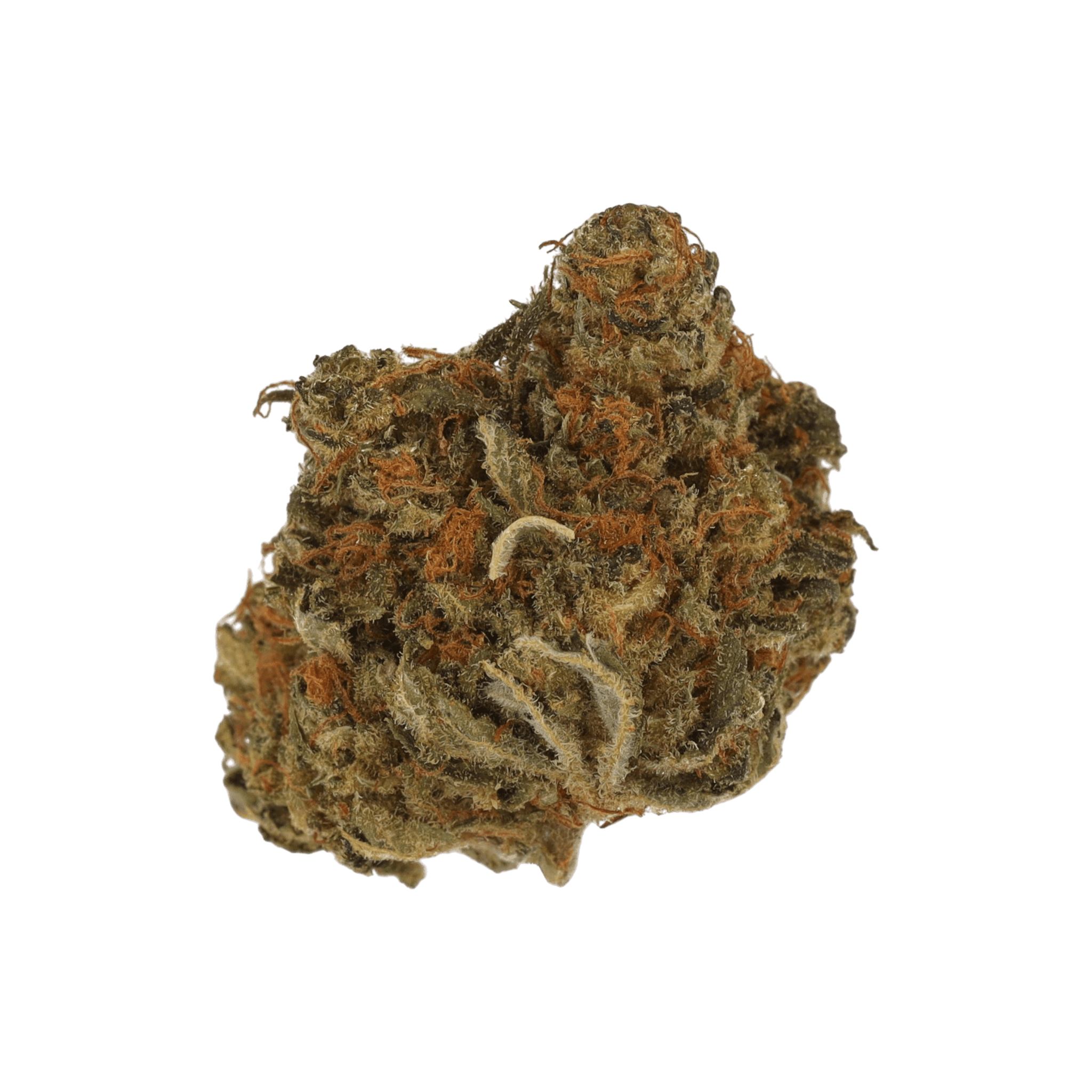 Cannamedical Balanced forte MH 8/13