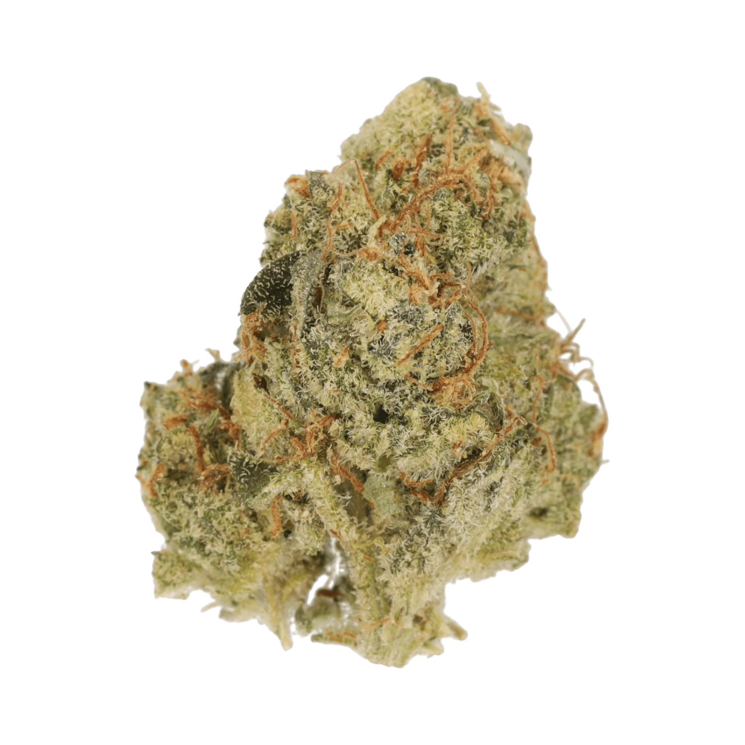 Cannamedical Indica Classic NM SBP