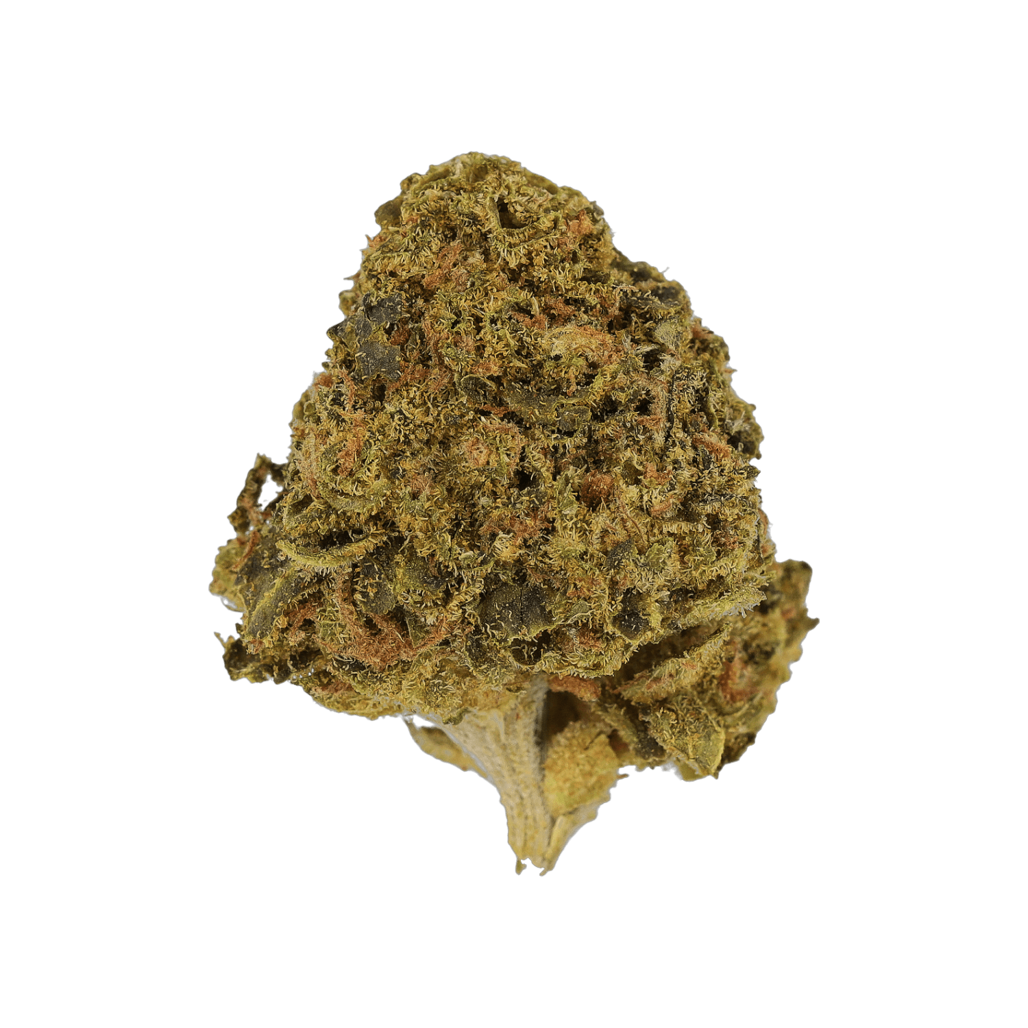 Cannamedical Indica Classic URY CS