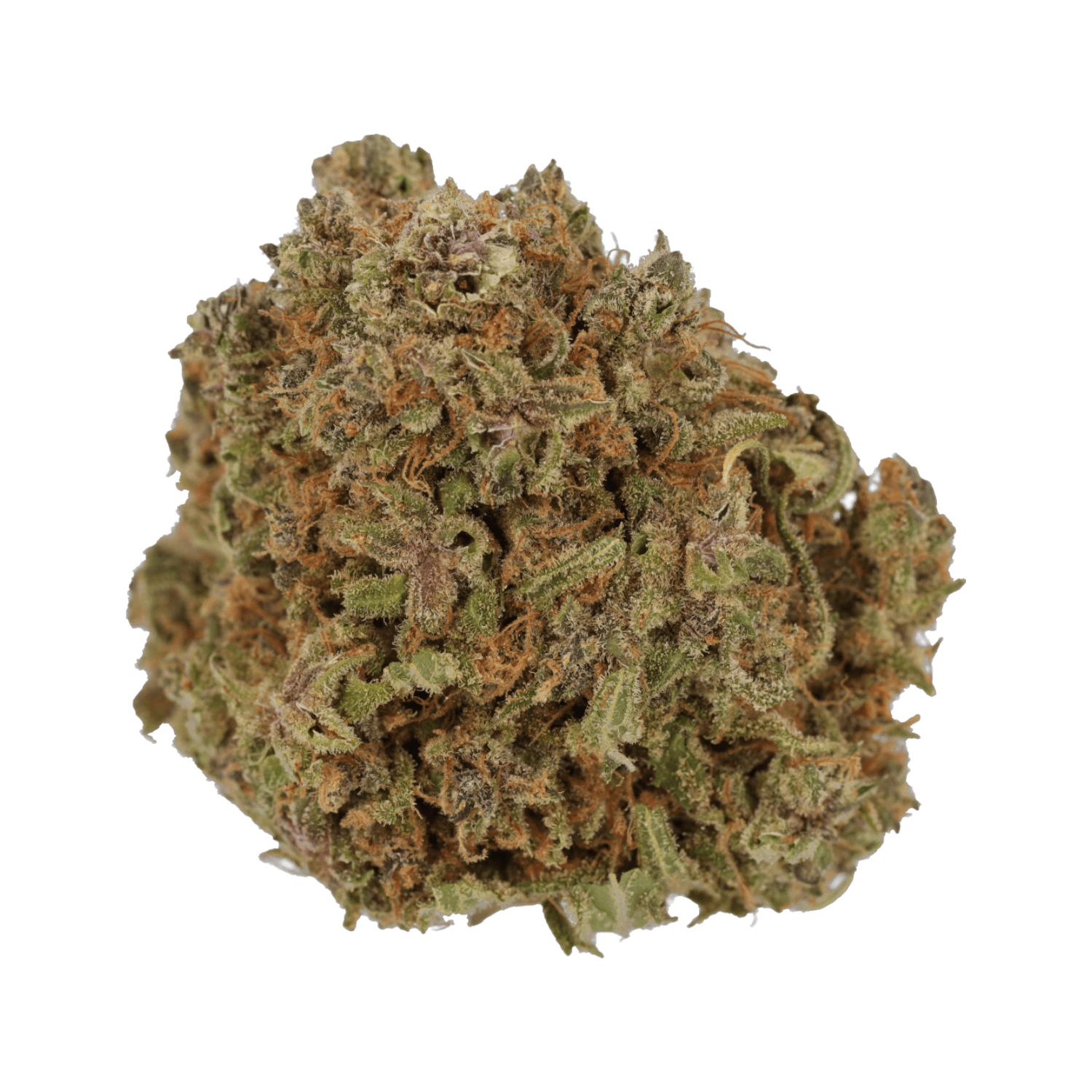 Cannamedical Indica Forte DK 22/1