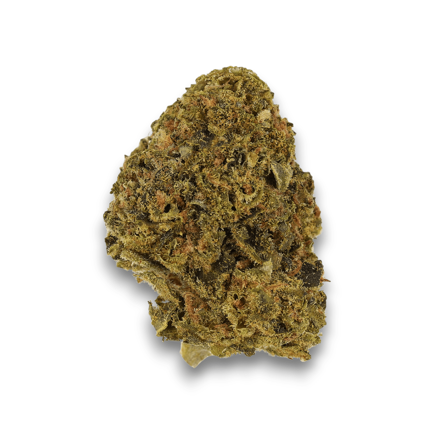 Cannamedical Indica Light URY CS