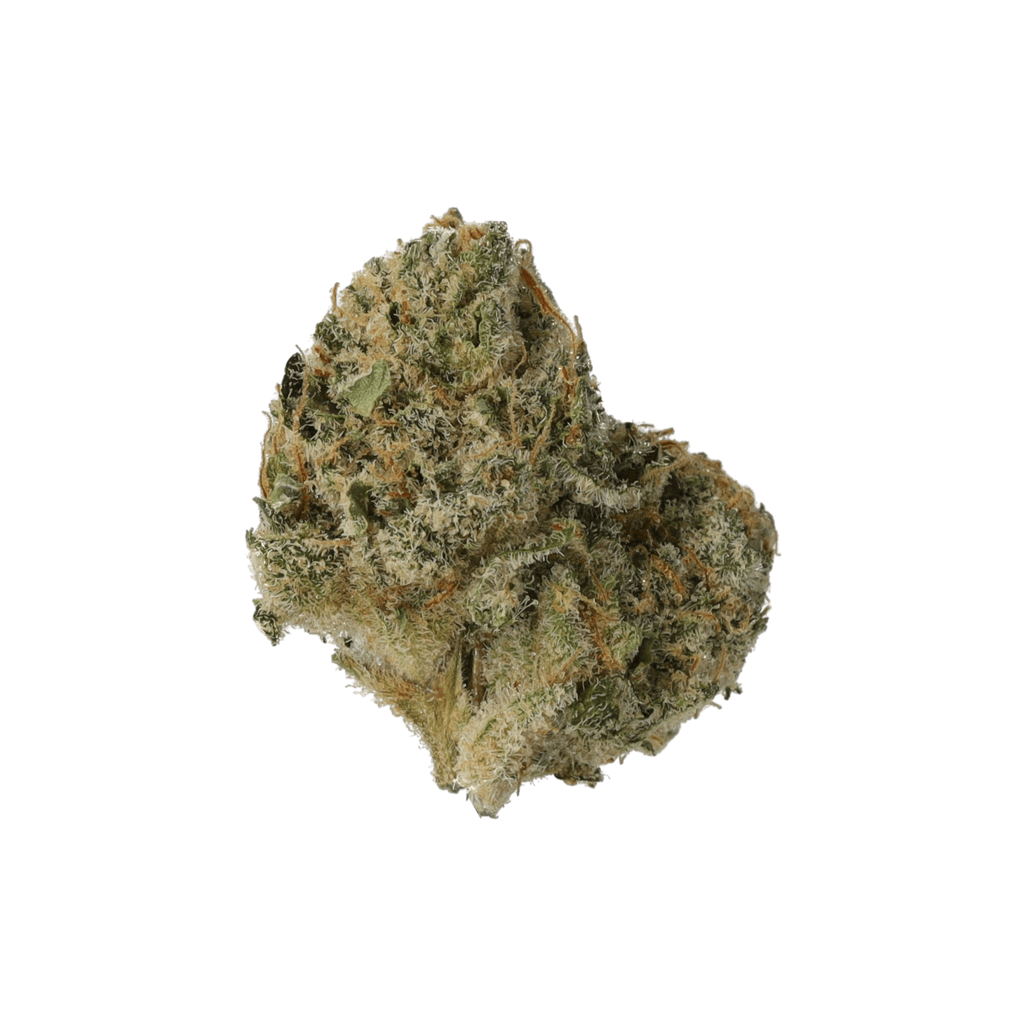 Cannamedical Sativa forte NM CL