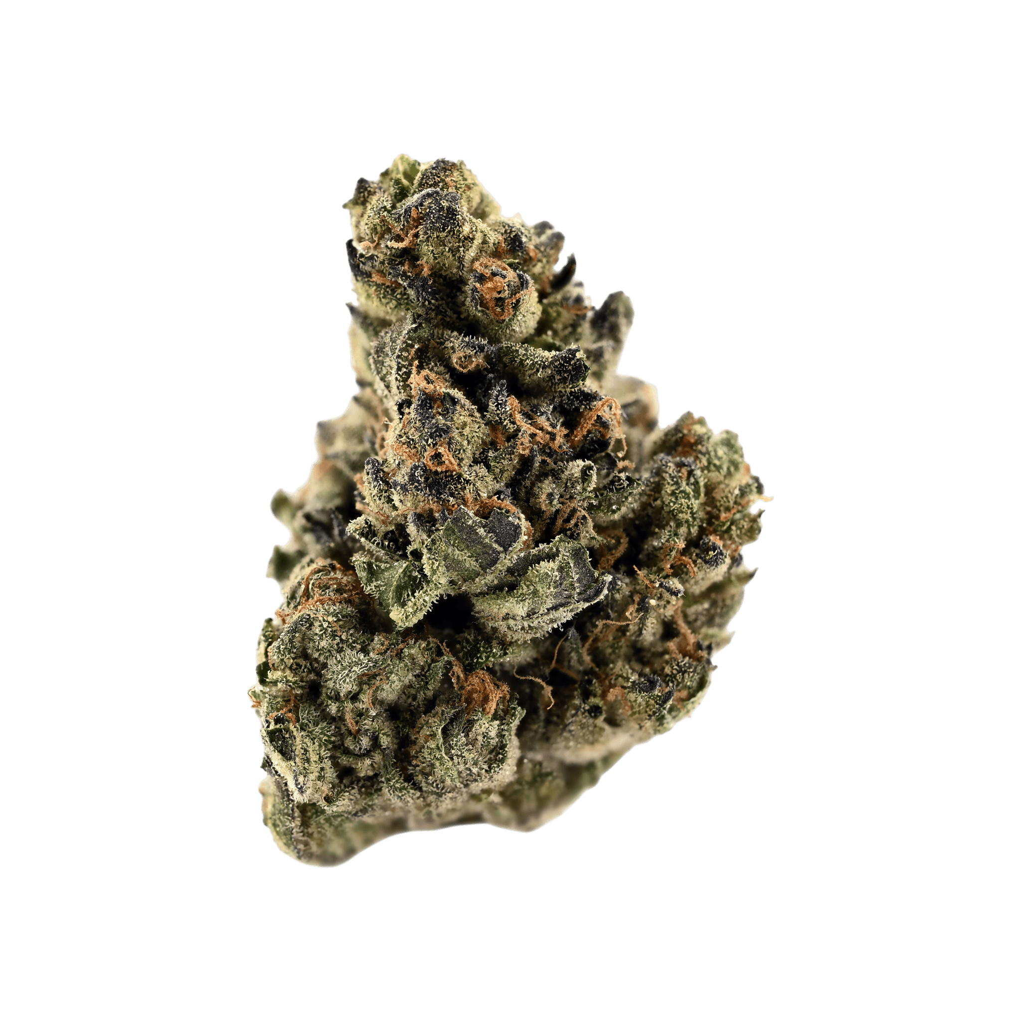 Demecan Core ICC 22:01