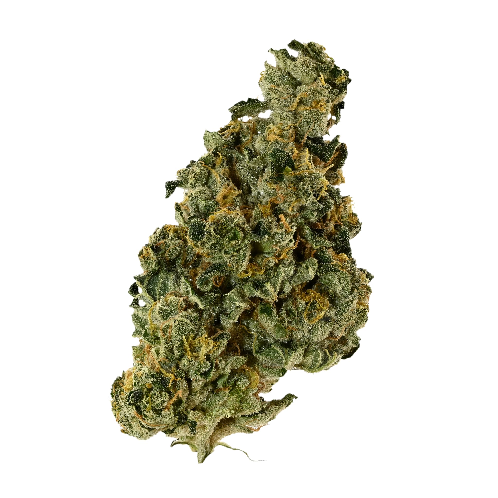 Med. Cannabis