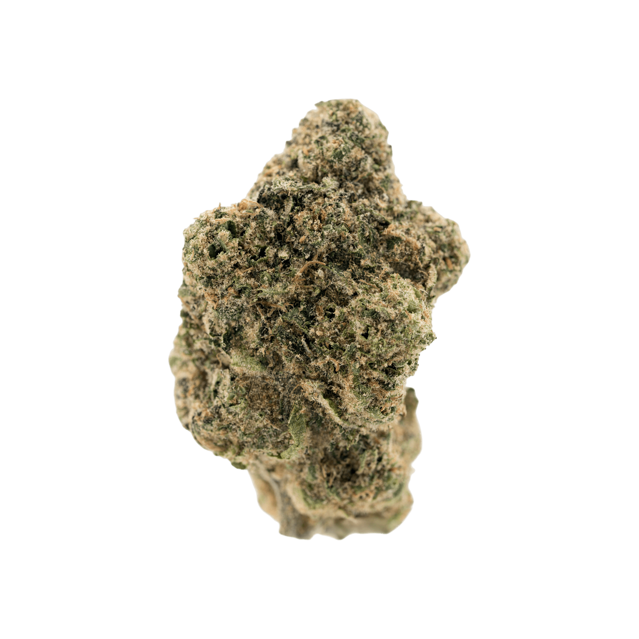 Demecan Craft Magister 24/1 BM