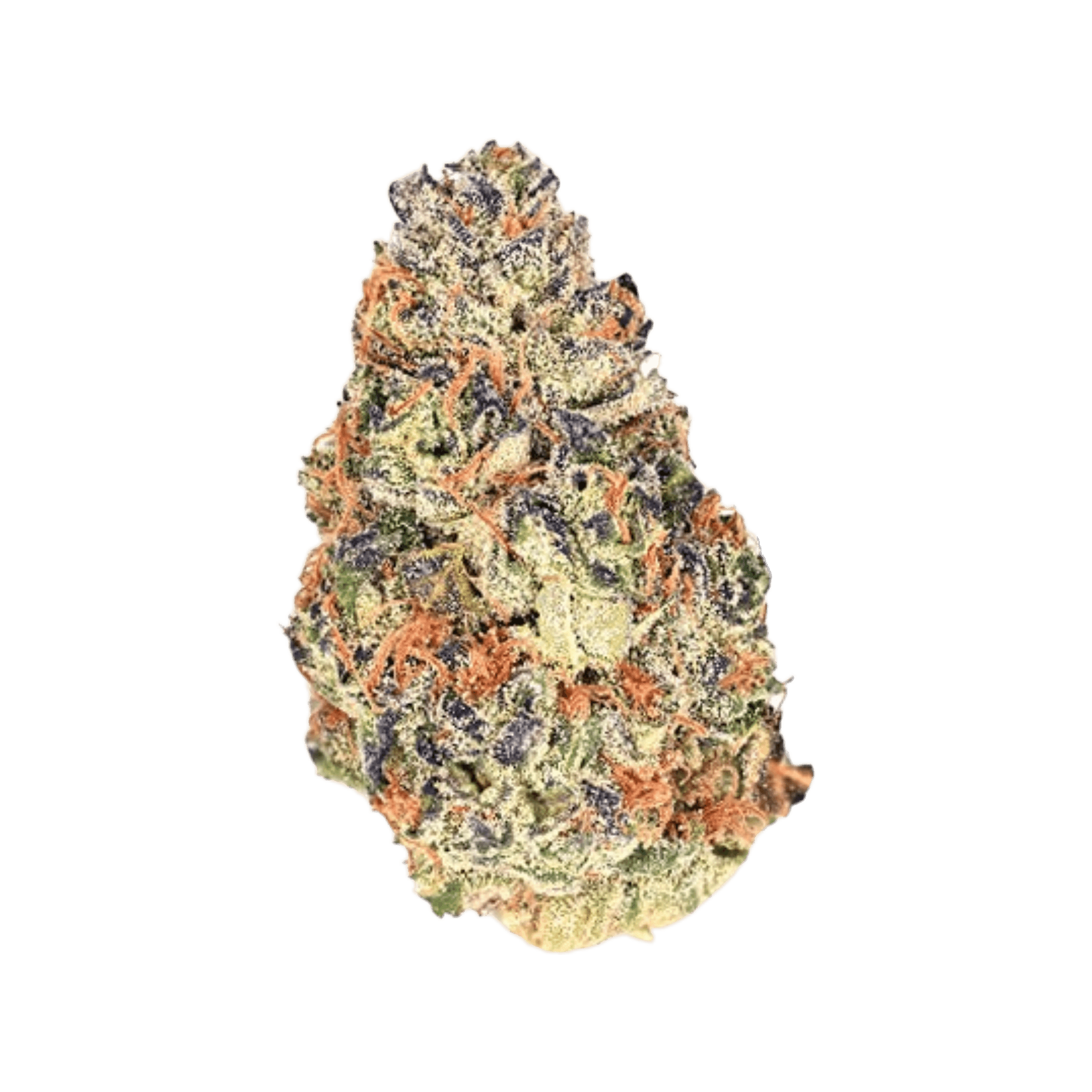 Demecan Craft Rocket 31:01 Pave x Gastro Pop