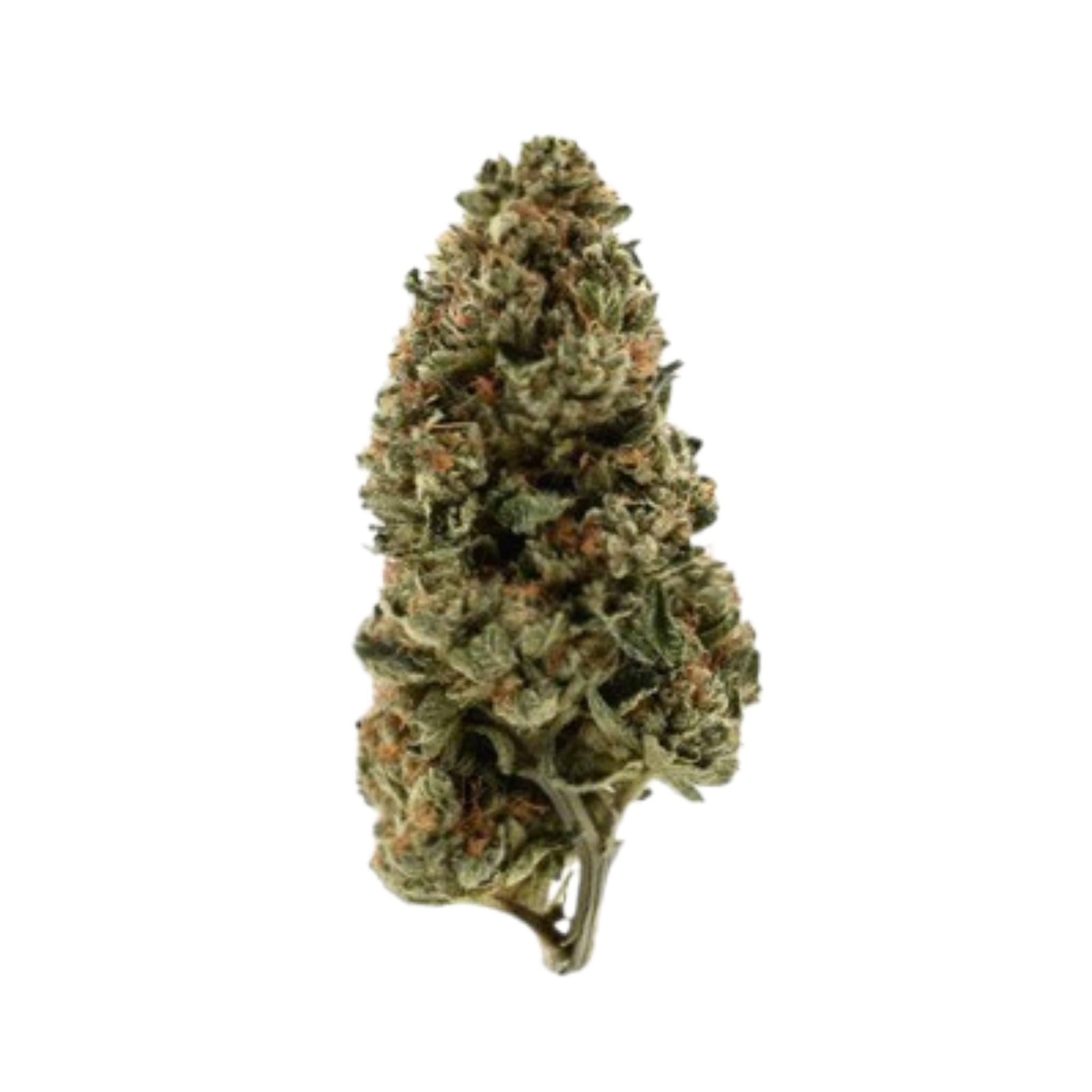 Med. Cannabis