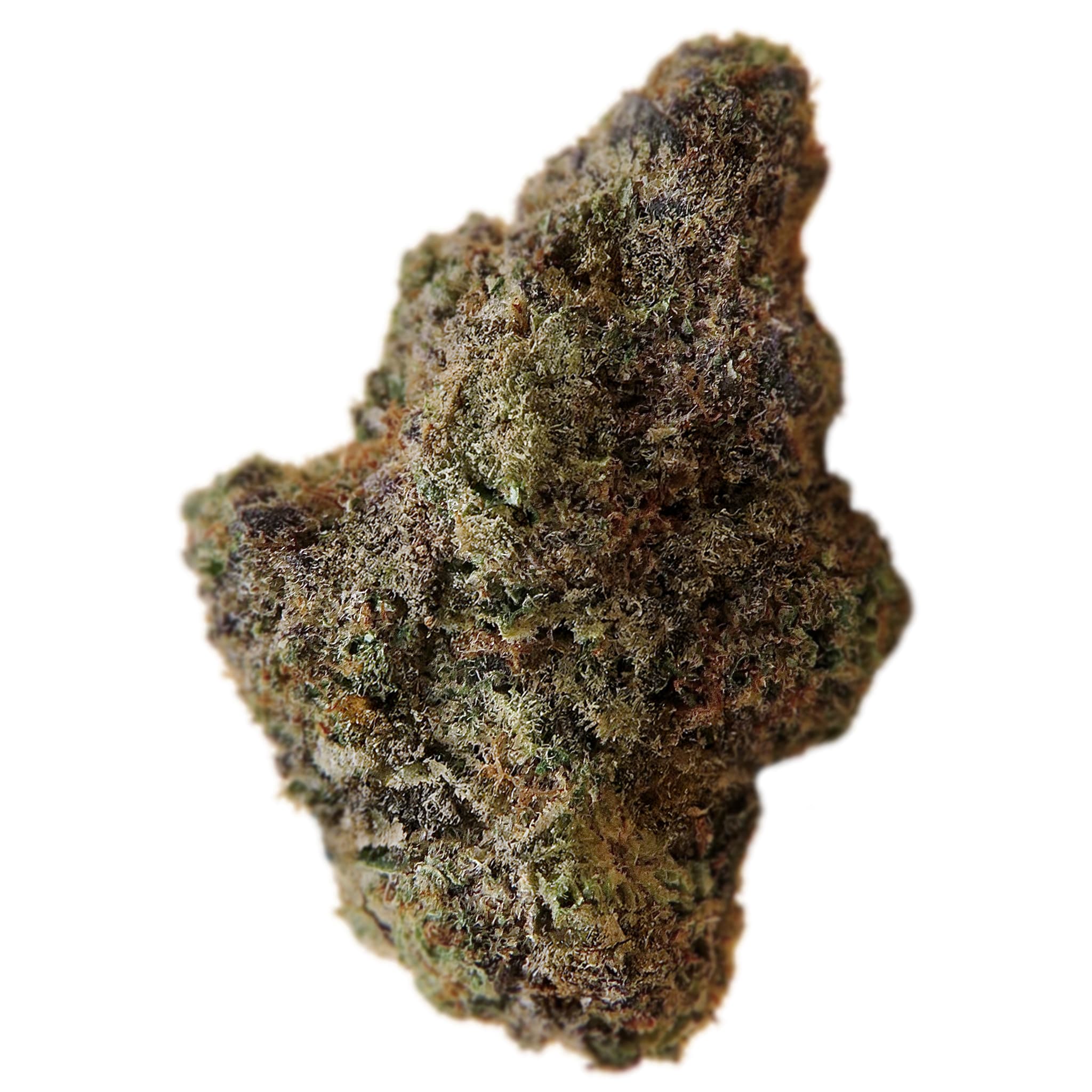 Demecan SC Light Drop 19:01