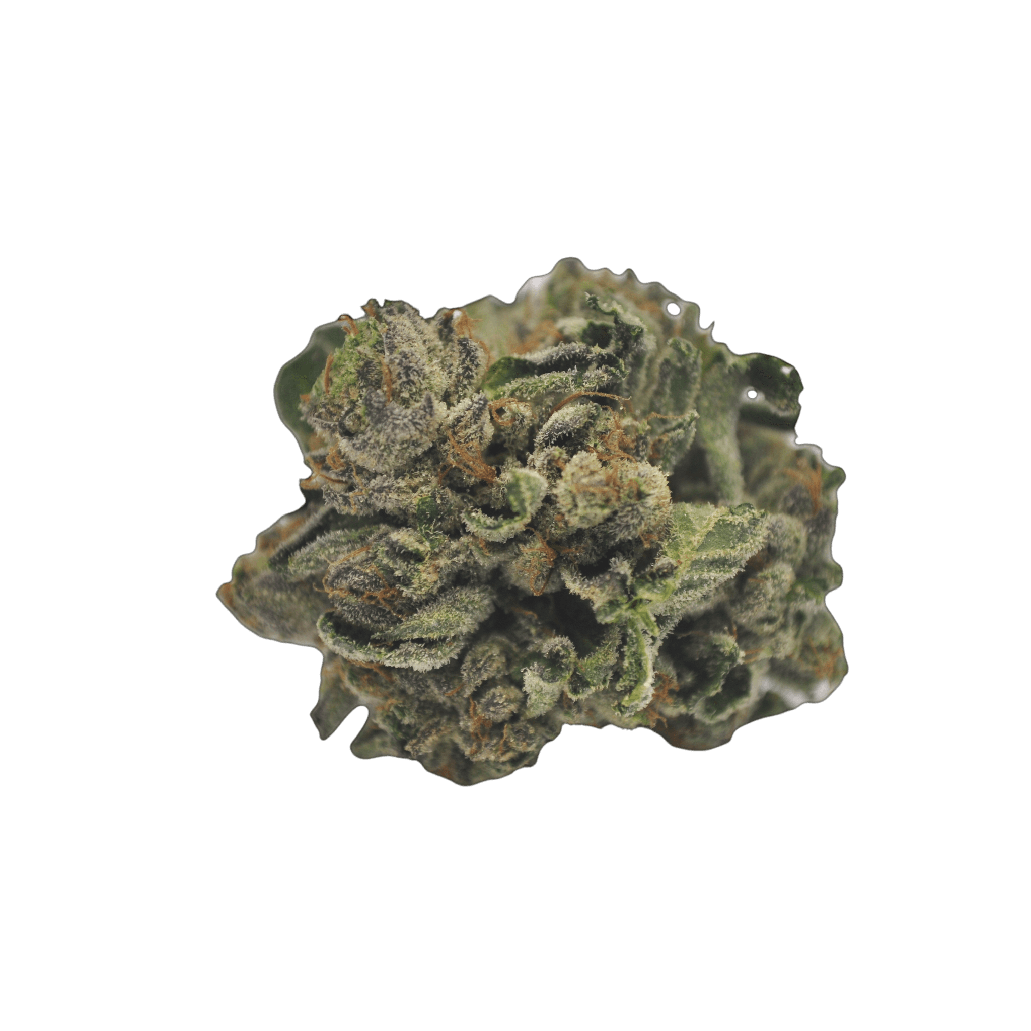 Med. Cannabis