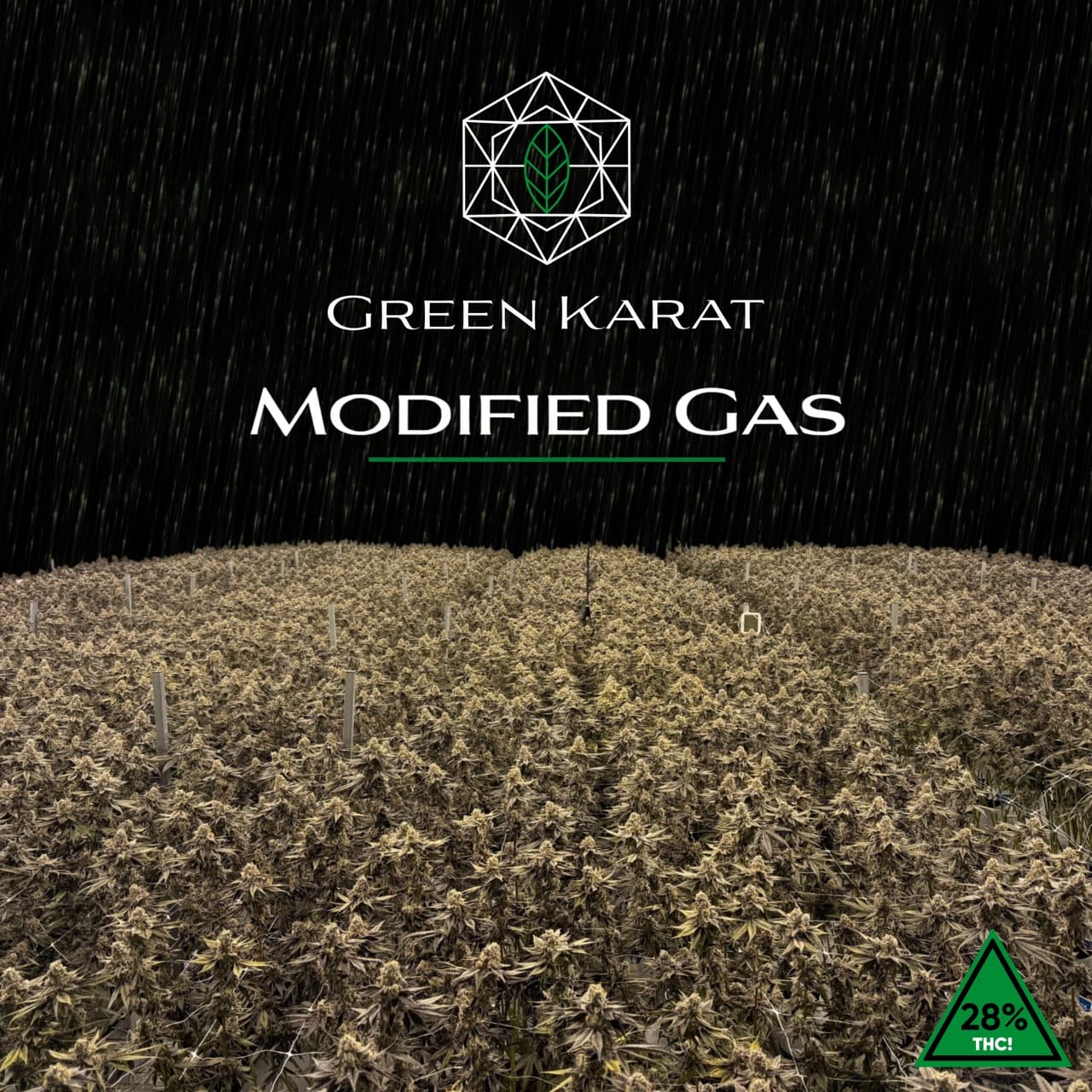 Green Karat MG 25/1
