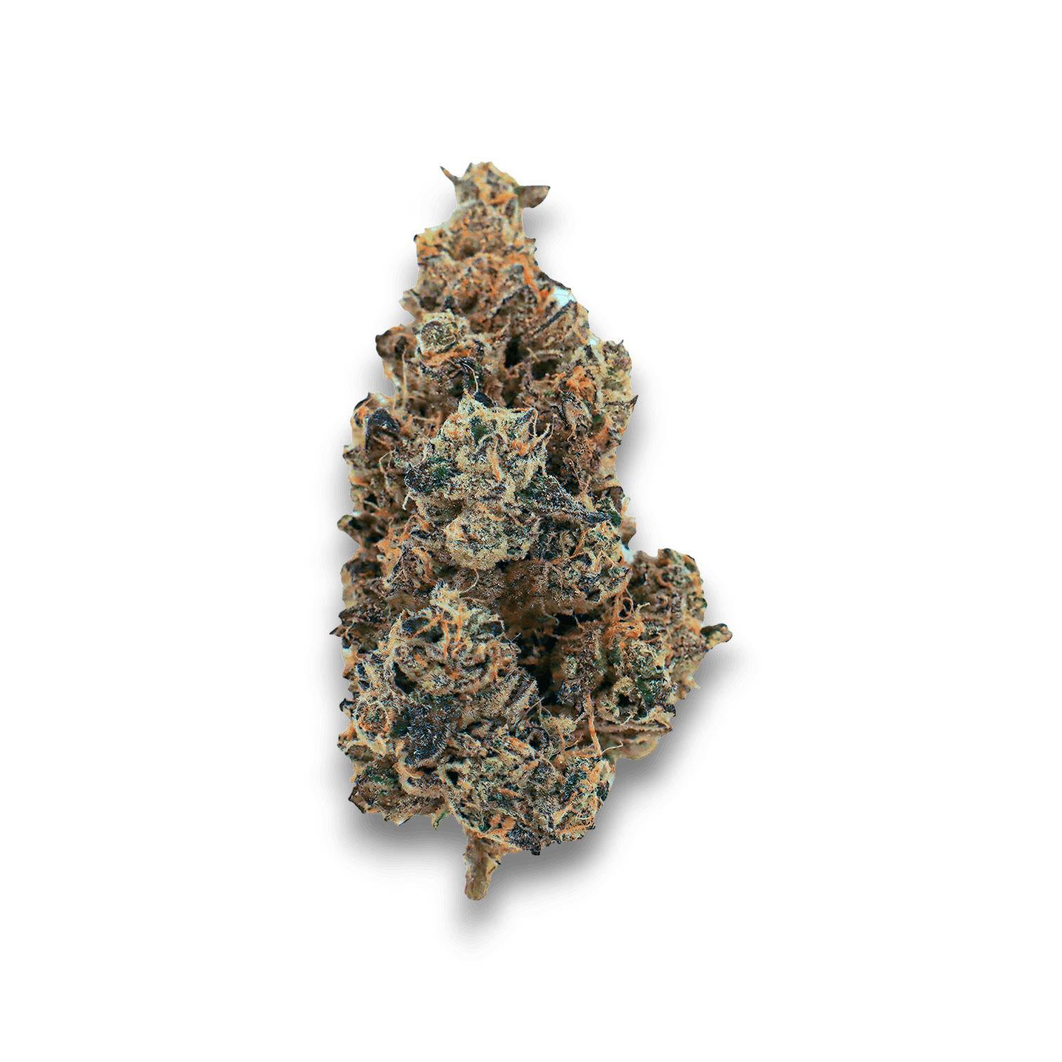 Greyscales FJ 26/1 Flapjacks