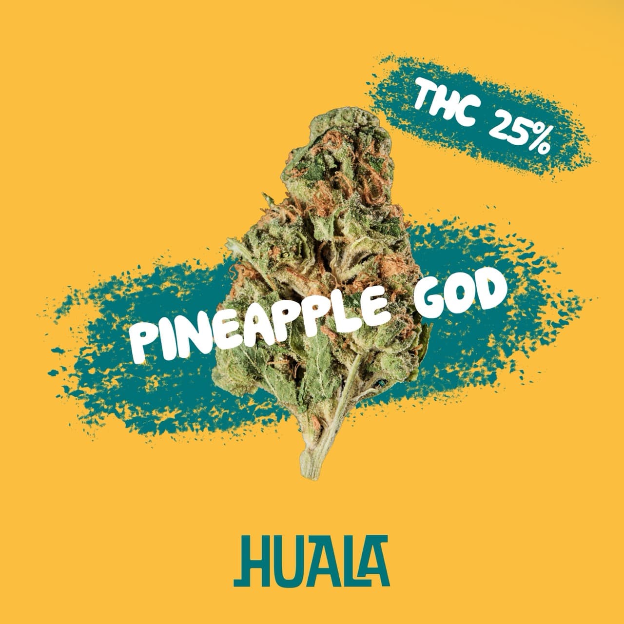 Huala 25/1 CA POG