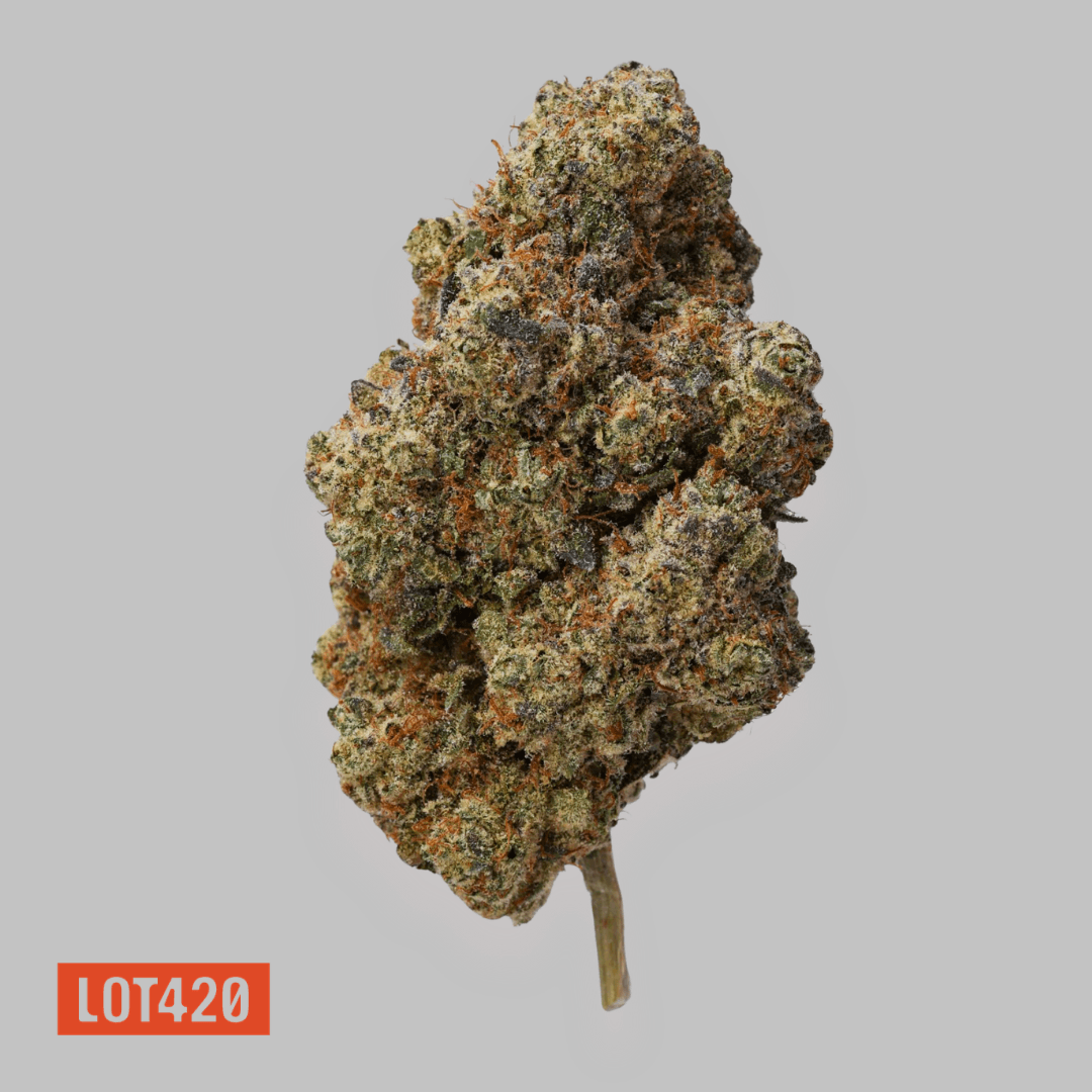 LOT 420 GLOC