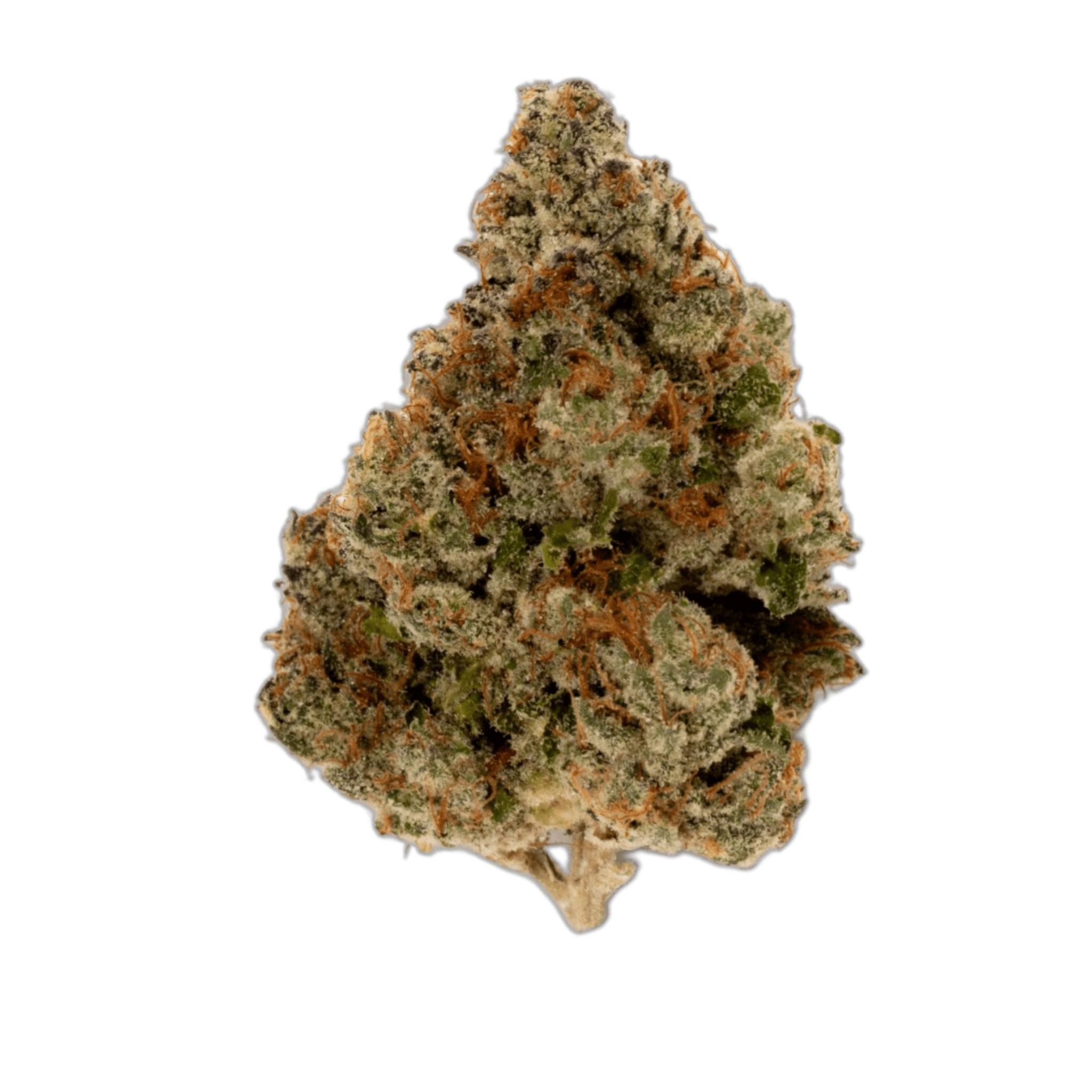 Med. Cannabis